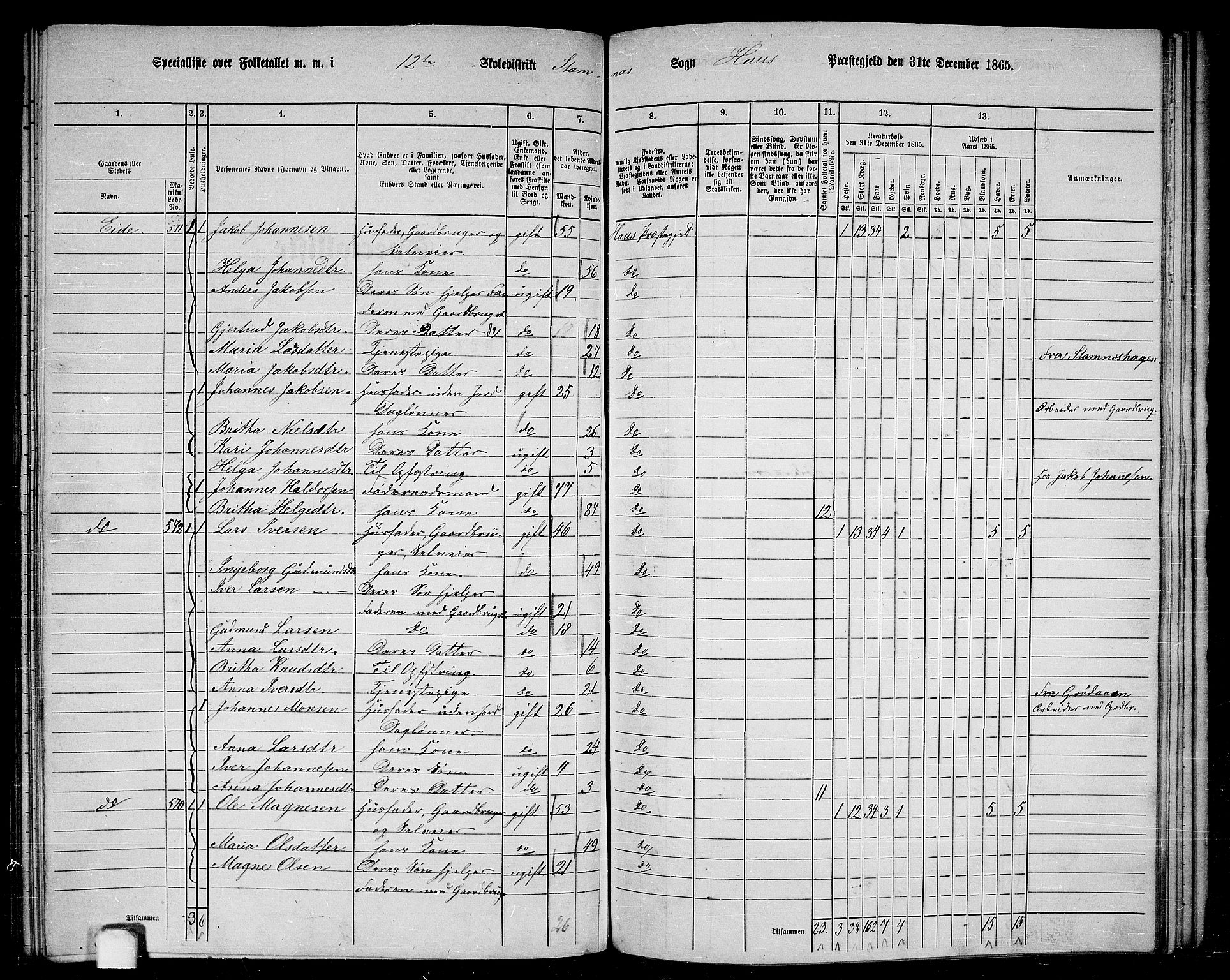 RA, 1865 census for Haus, 1865, p. 233
