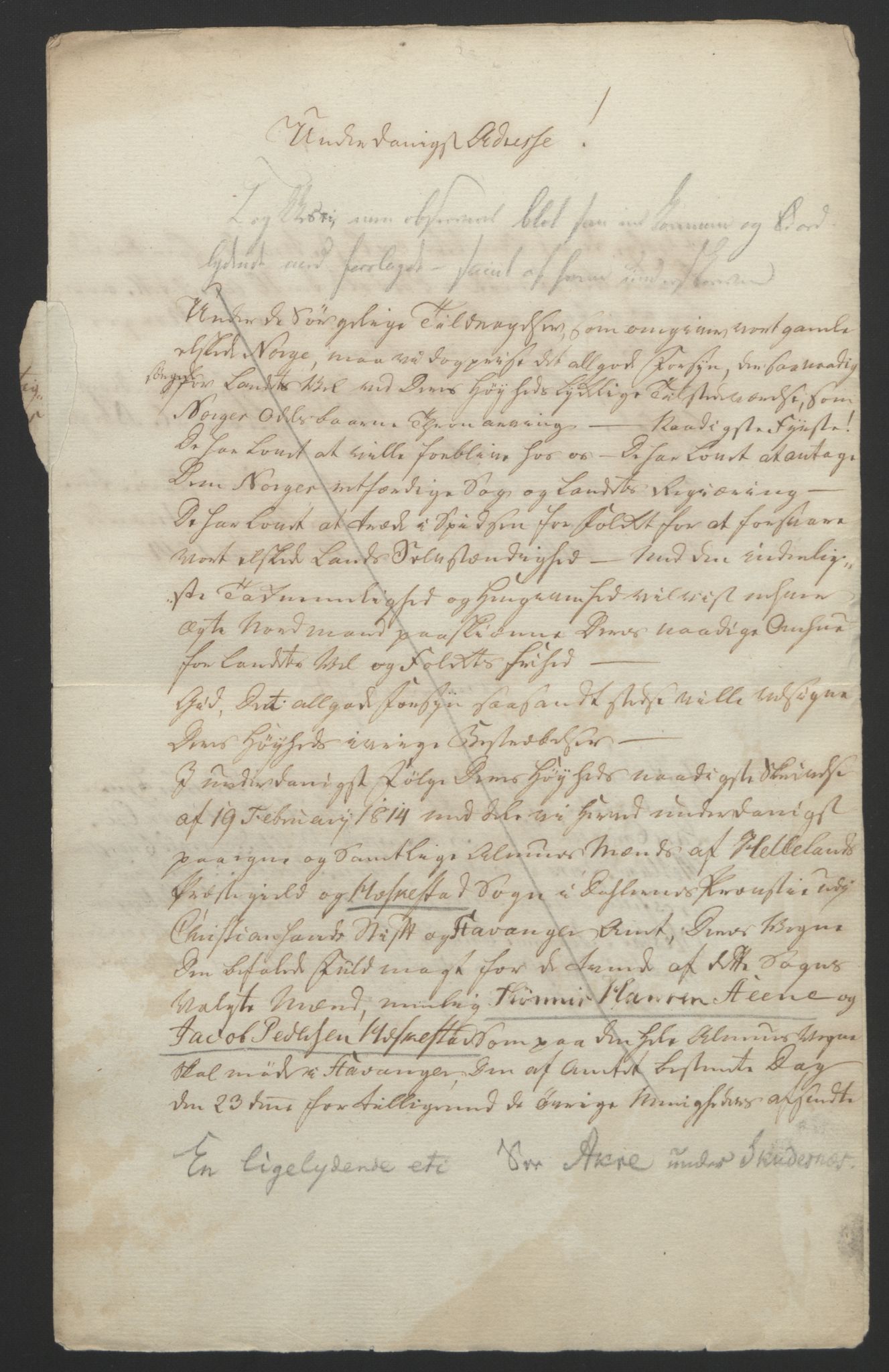 Statsrådssekretariatet, AV/RA-S-1001/D/Db/L0008: Fullmakter for Eidsvollsrepresentantene i 1814. , 1814, p. 223