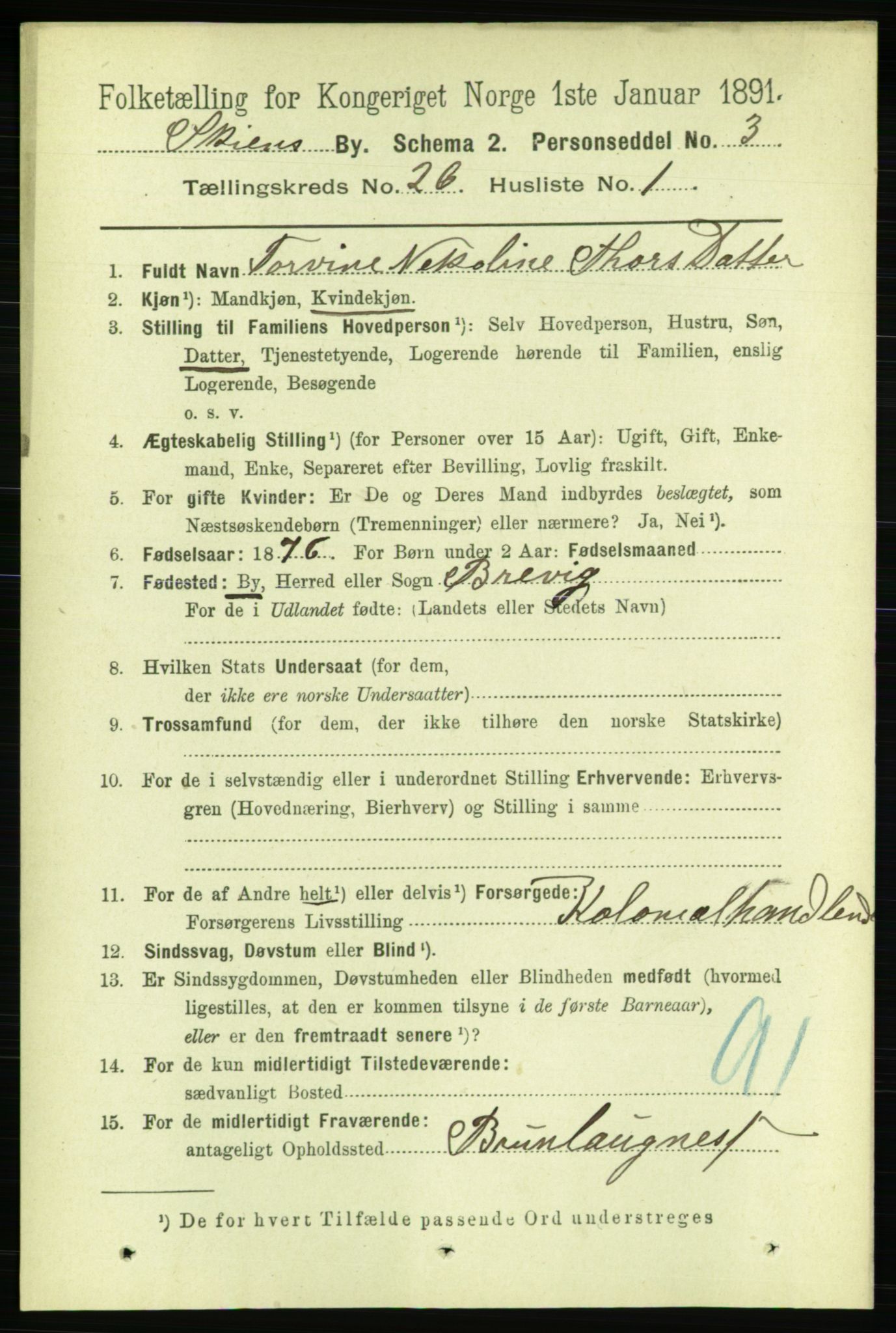 RA, 1891 census for 0806 Skien, 1891, p. 6249