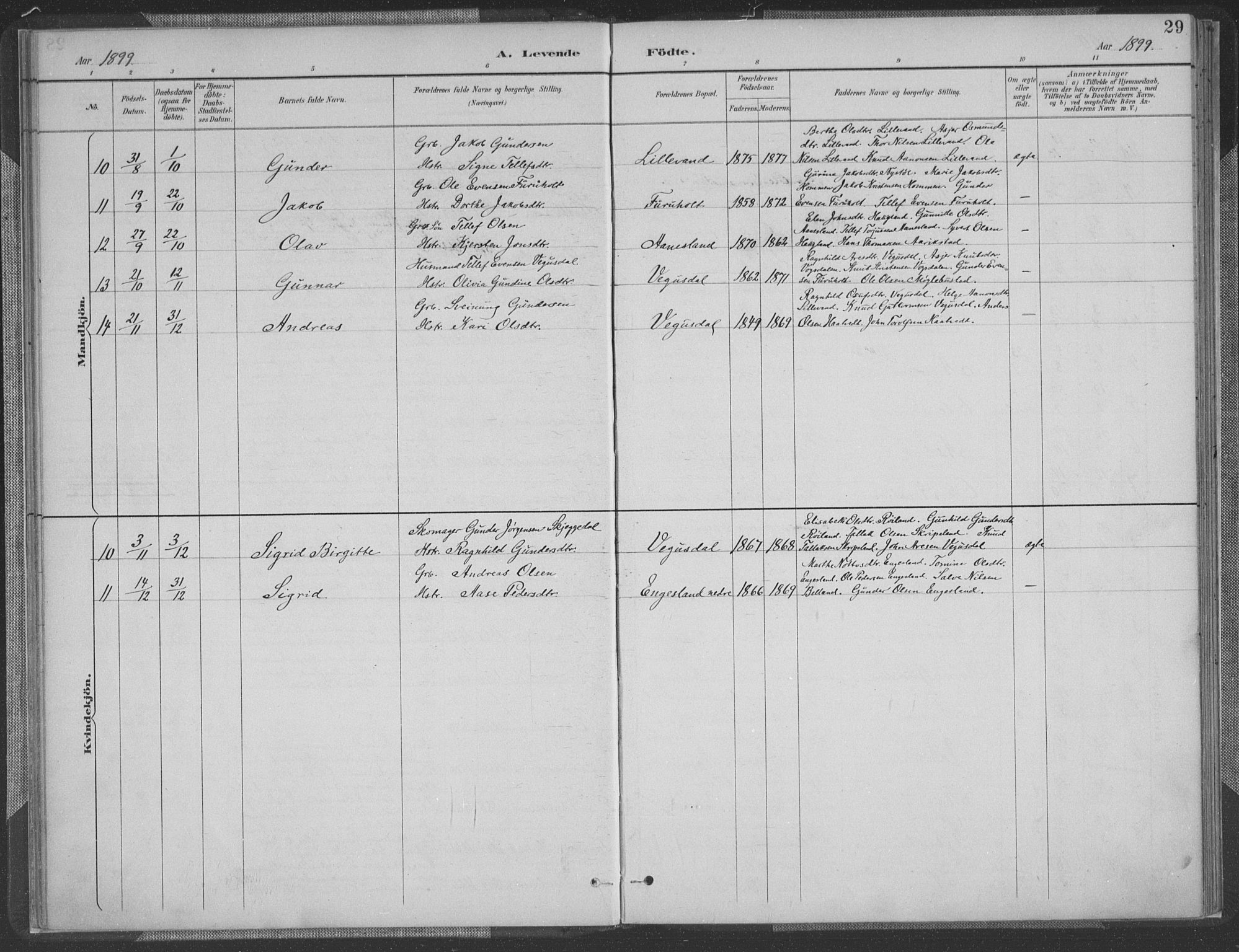 Herefoss sokneprestkontor, AV/SAK-1111-0019/F/Fa/Fab/L0004: Parish register (official) no. A 4, 1887-1909, p. 29