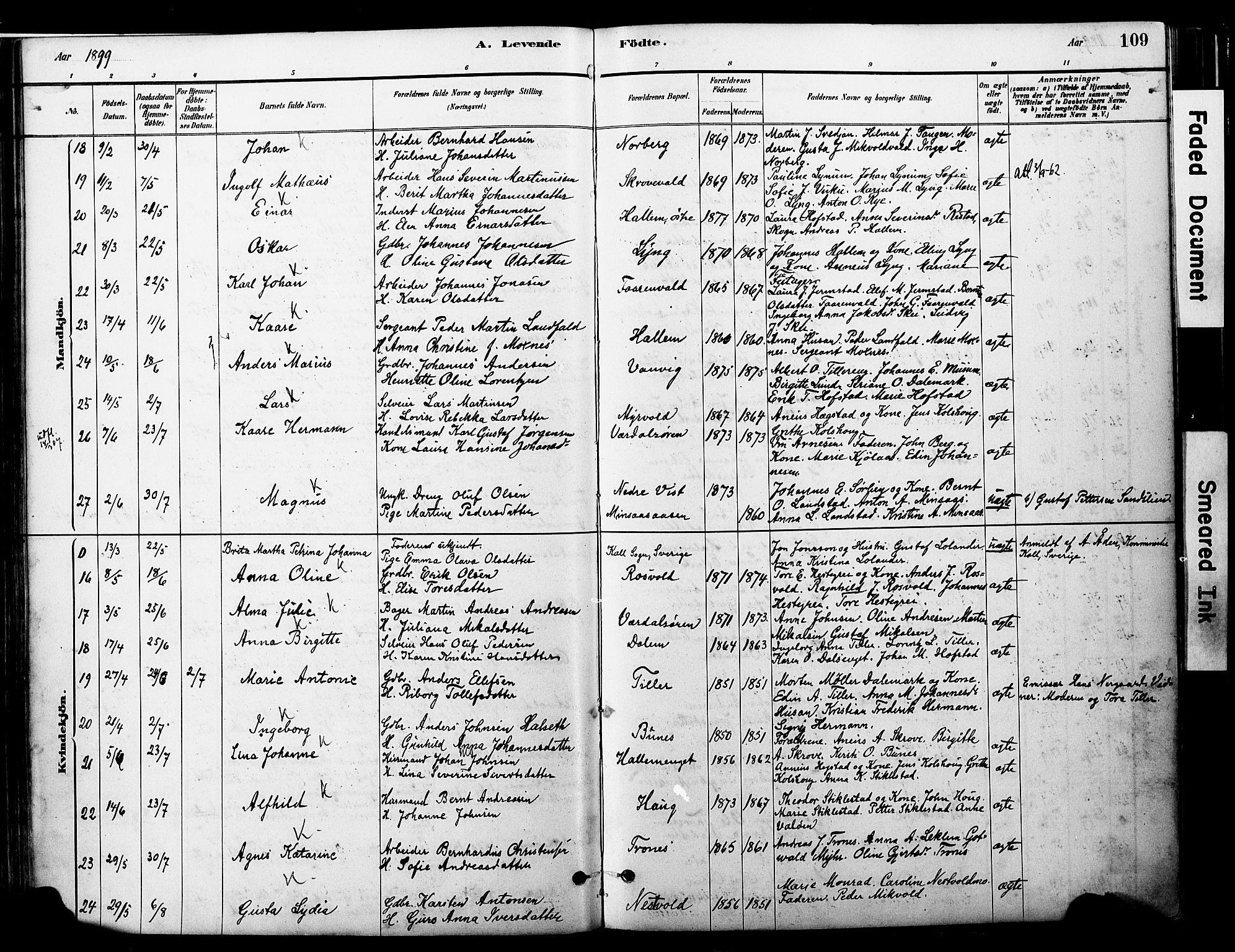 Ministerialprotokoller, klokkerbøker og fødselsregistre - Nord-Trøndelag, AV/SAT-A-1458/723/L0244: Parish register (official) no. 723A13, 1881-1899, p. 109