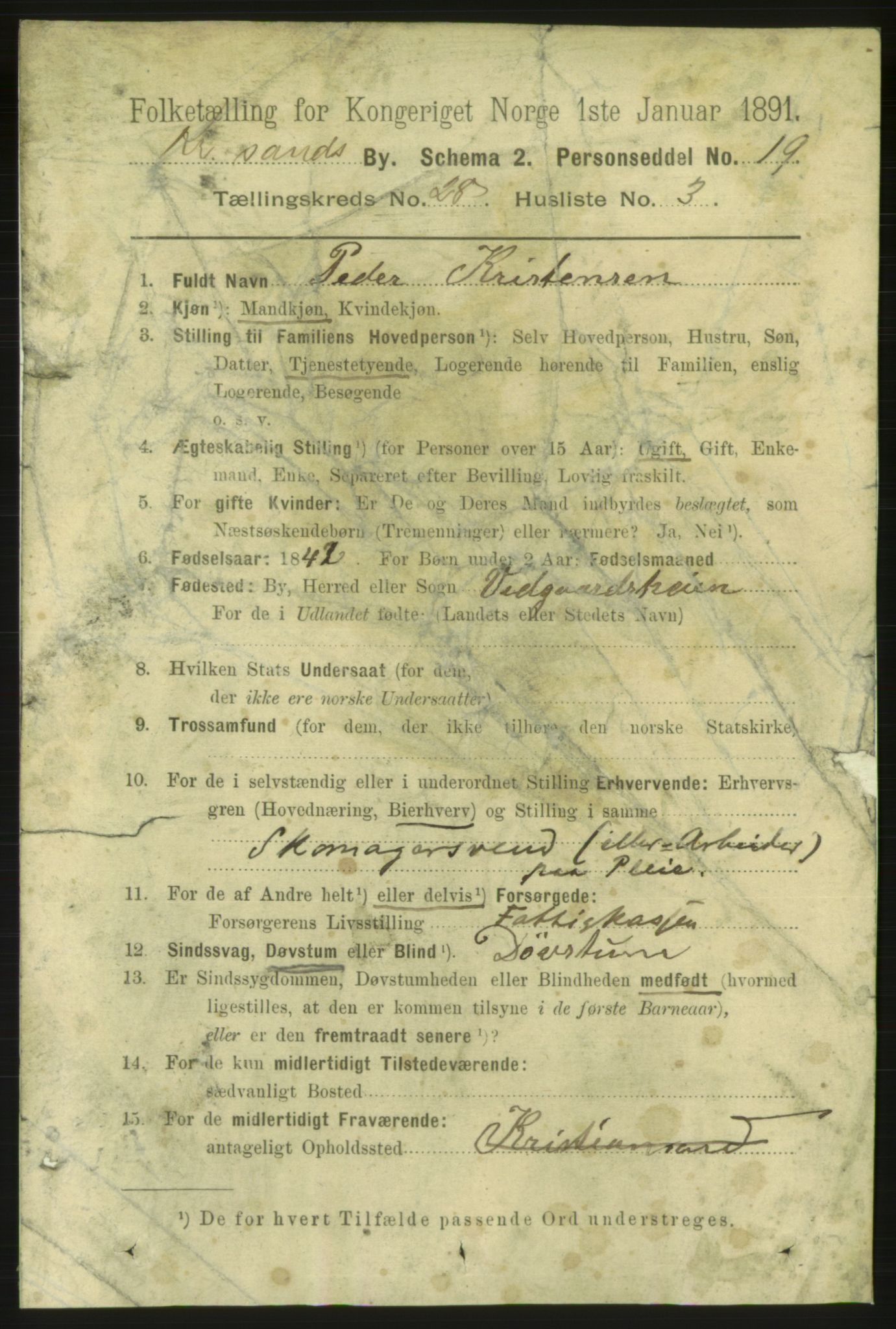 RA, 1891 census for 1001 Kristiansand, 1891, p. 9524