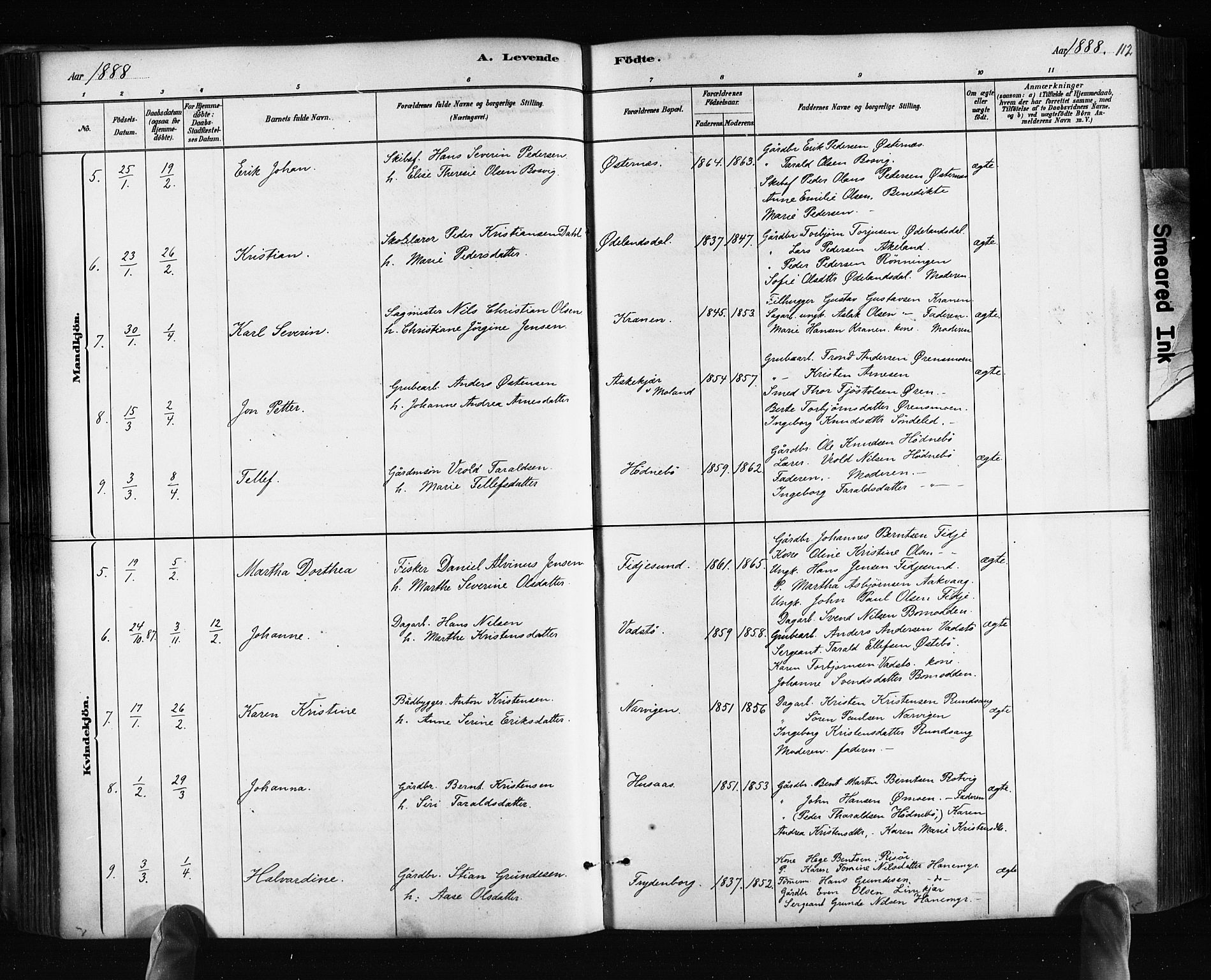 Søndeled sokneprestkontor, AV/SAK-1111-0038/F/Fa/L0004: Parish register (official) no. A 4, 1880-1889, p. 112