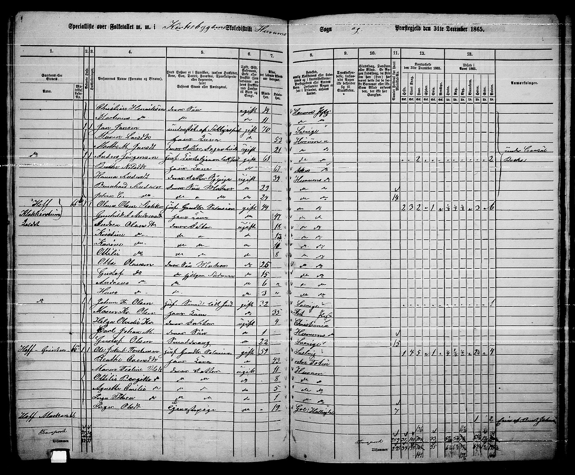 RA, 1865 census for Hurum, 1865, p. 14