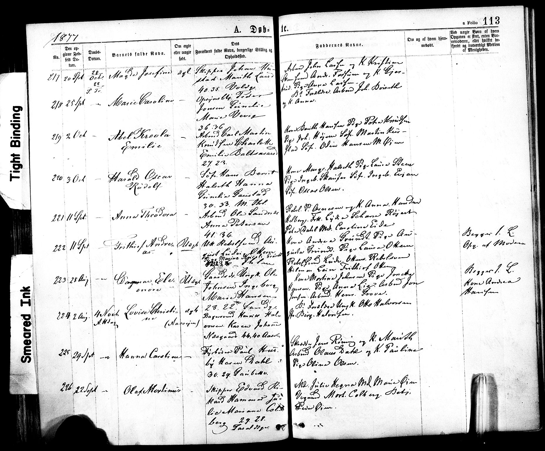 Ministerialprotokoller, klokkerbøker og fødselsregistre - Sør-Trøndelag, SAT/A-1456/602/L0118: Parish register (official) no. 602A16, 1873-1879, p. 113