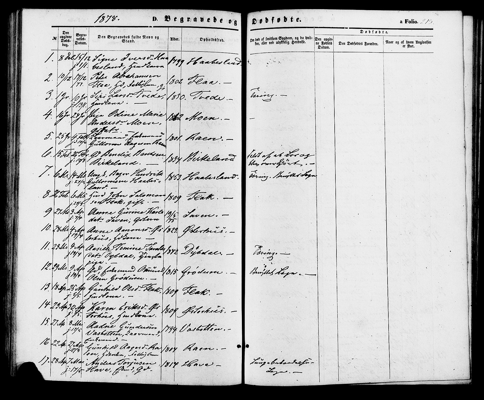 Birkenes sokneprestkontor, AV/SAK-1111-0004/F/Fa/L0004: Parish register (official) no. A 4, 1867-1886, p. 213