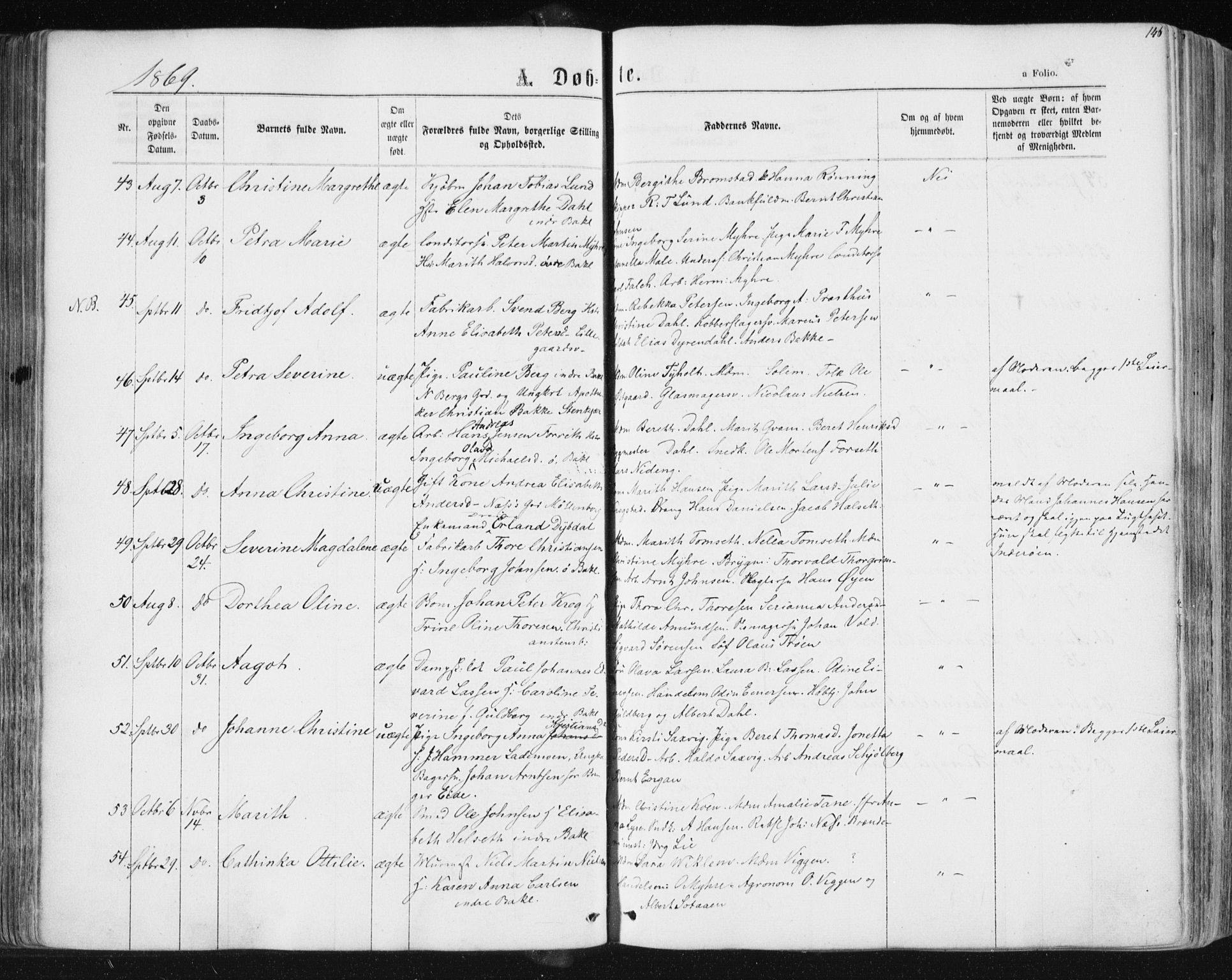 Ministerialprotokoller, klokkerbøker og fødselsregistre - Sør-Trøndelag, AV/SAT-A-1456/604/L0186: Parish register (official) no. 604A07, 1866-1877, p. 146