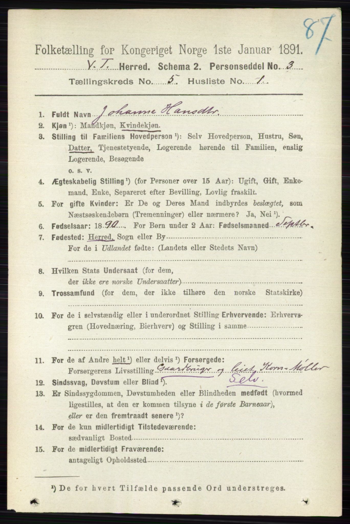 RA, 1891 census for 0529 Vestre Toten, 1891, p. 3234