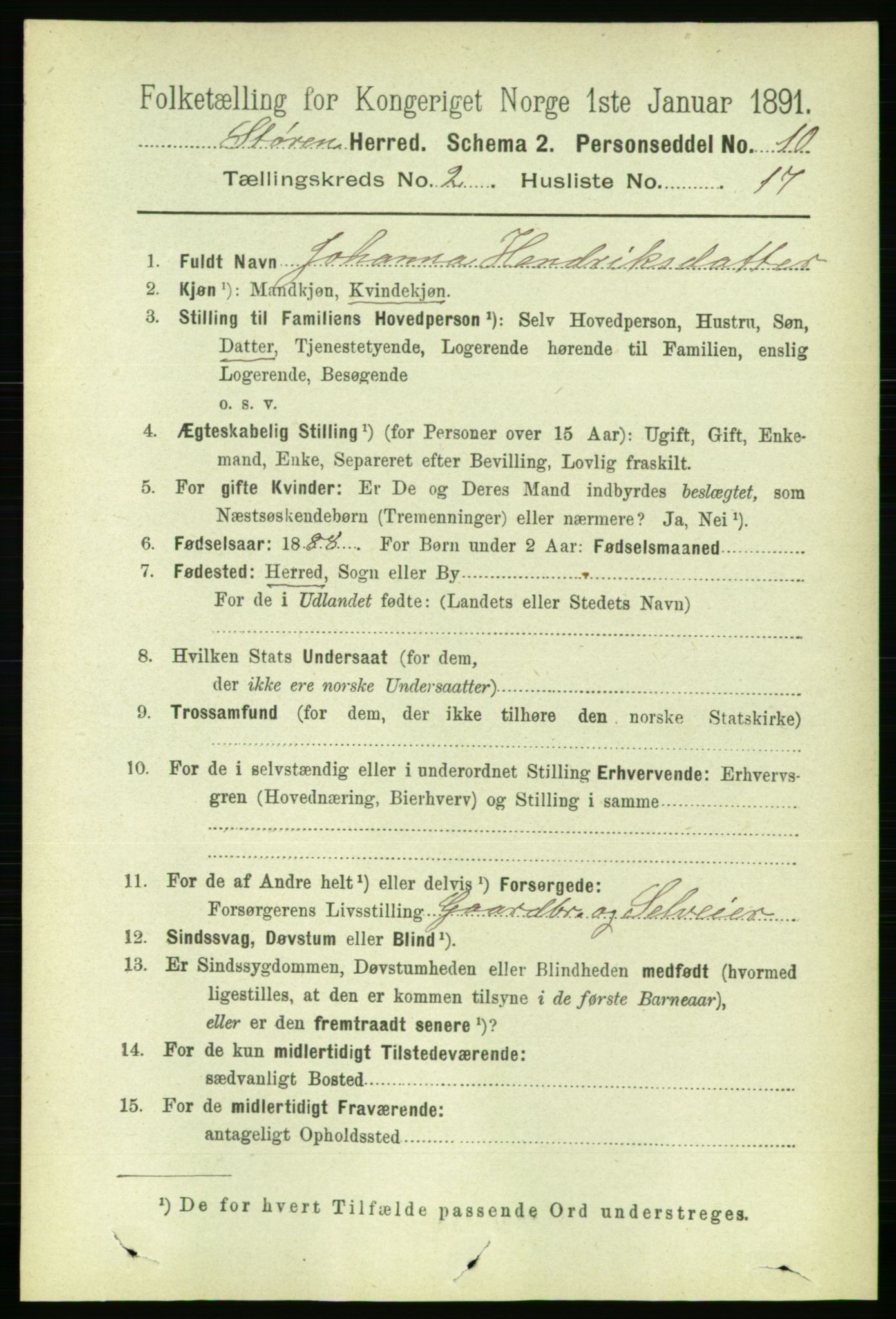 RA, 1891 census for 1648 Støren, 1891, p. 519