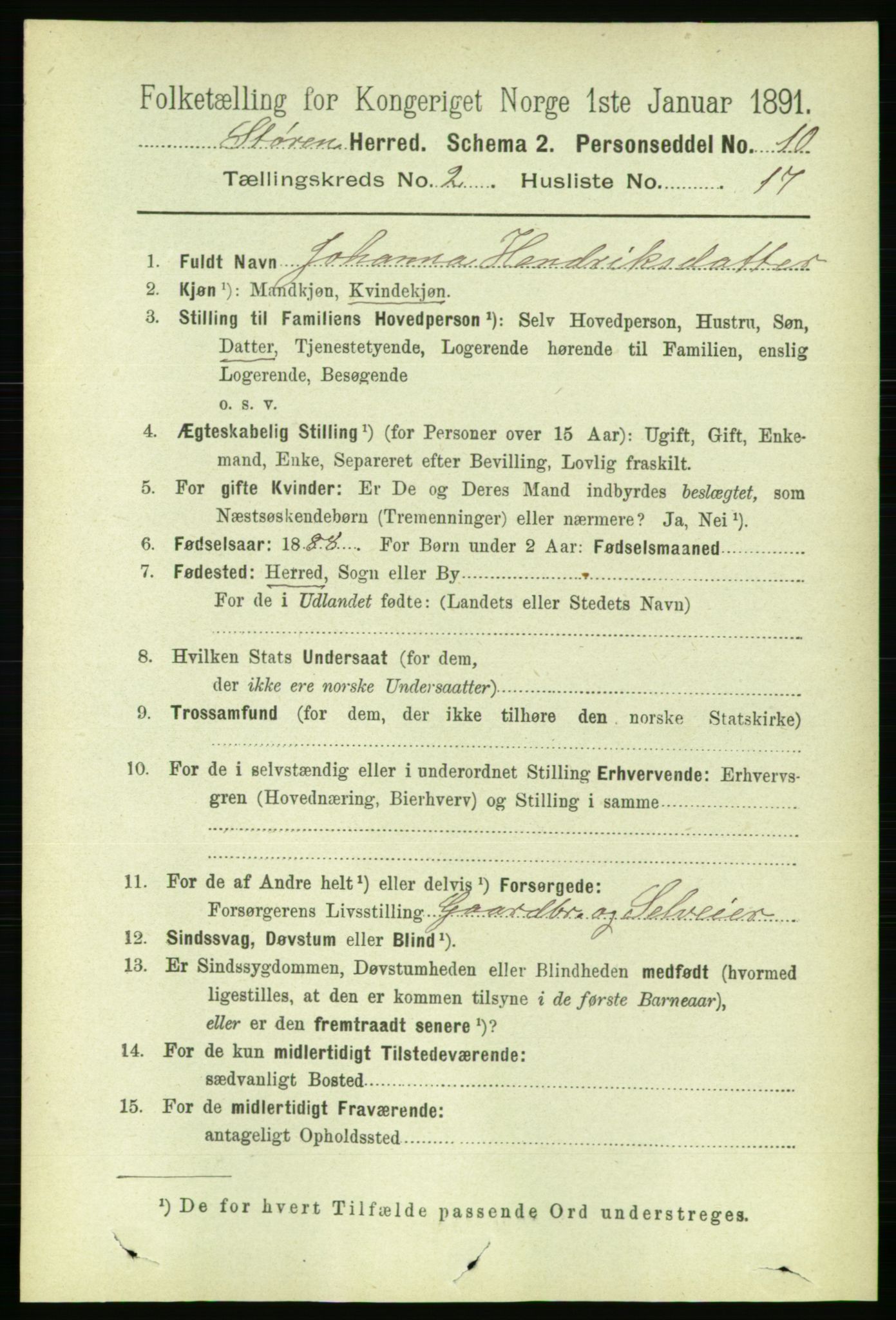 RA, 1891 census for 1648 Støren, 1891, p. 519