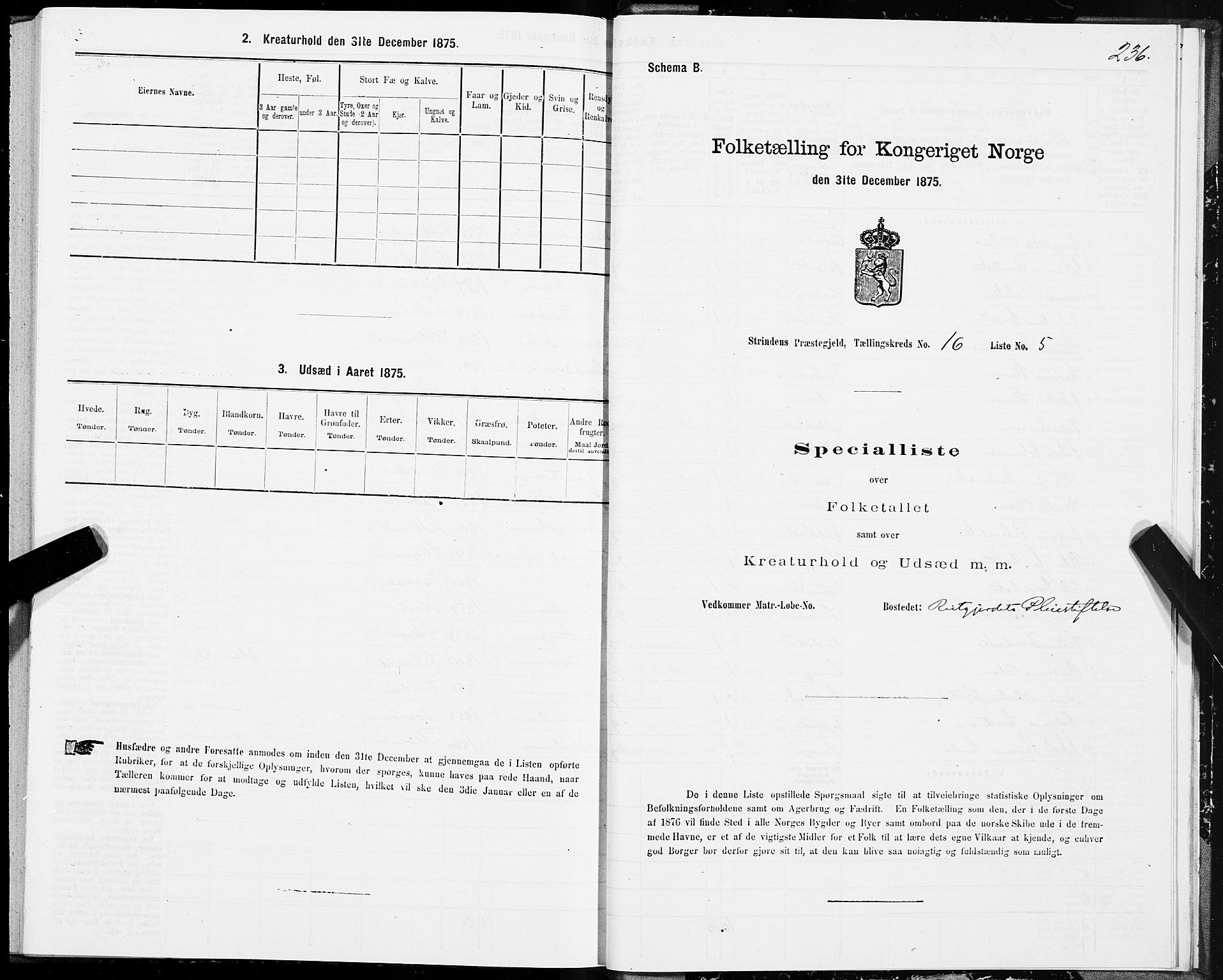 SAT, 1875 census for 1660P Strinda, 1875, p. 8236