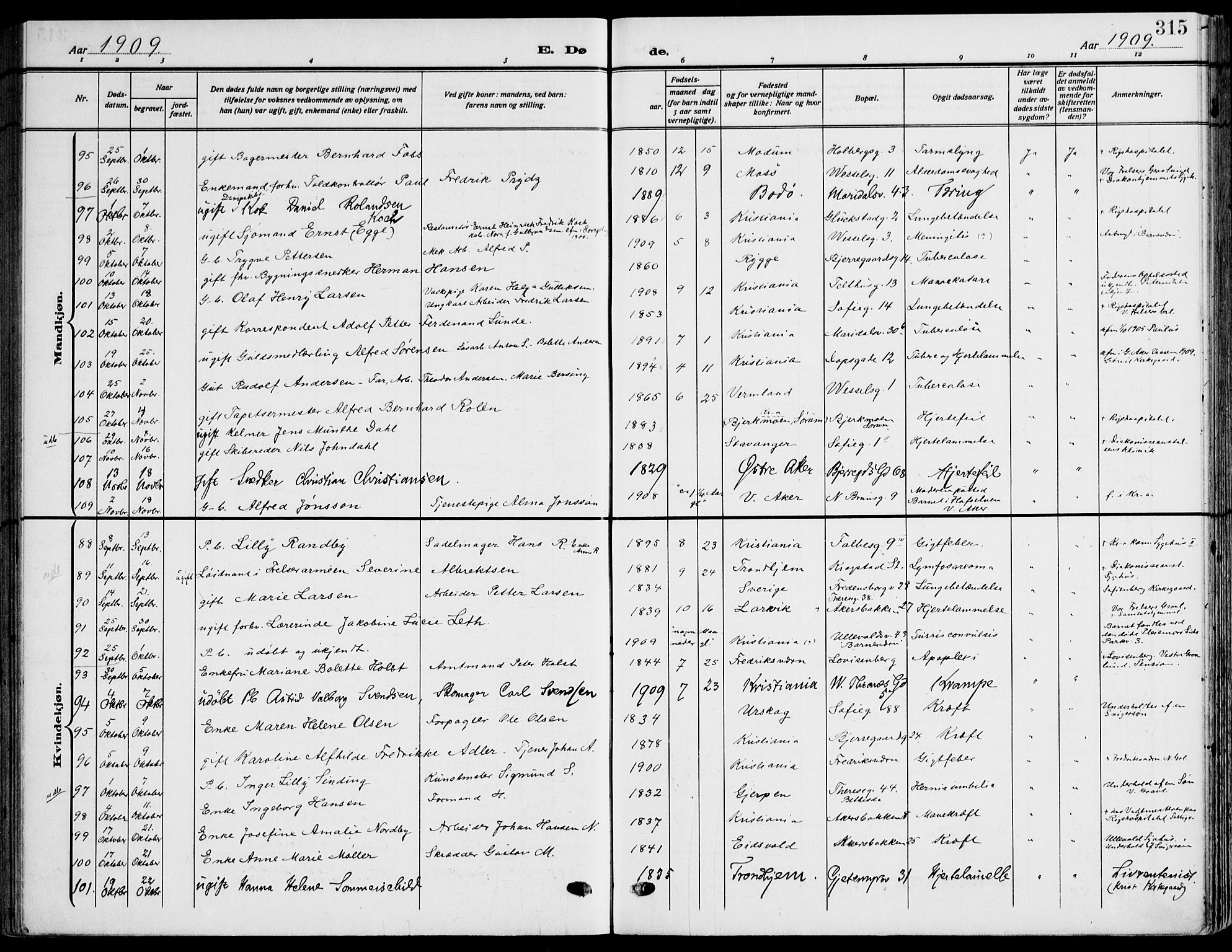 Gamle Aker prestekontor Kirkebøker, SAO/A-10617a/F/L0014: Parish register (official) no. 14, 1909-1924, p. 315
