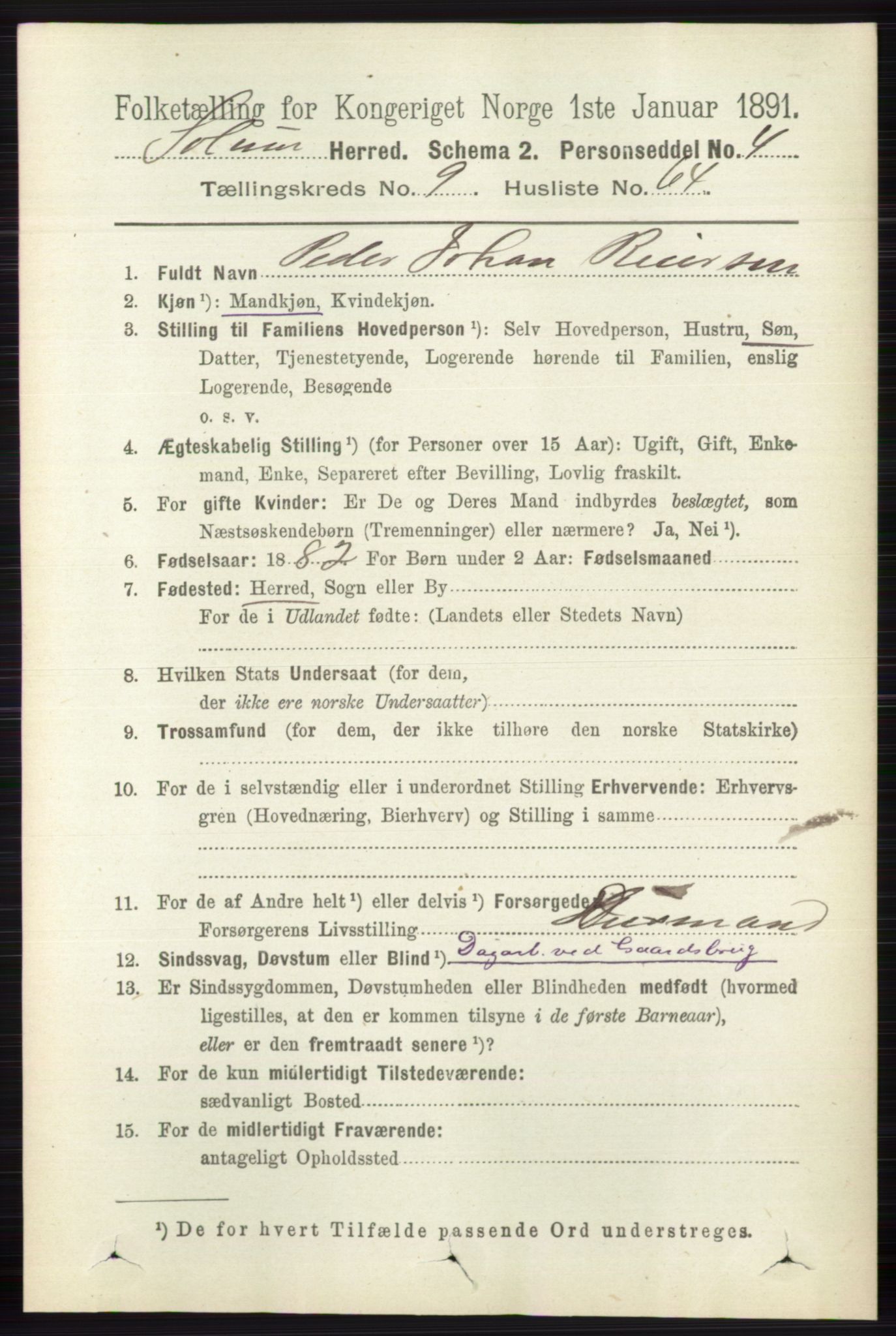 RA, 1891 census for 0818 Solum, 1891, p. 2411