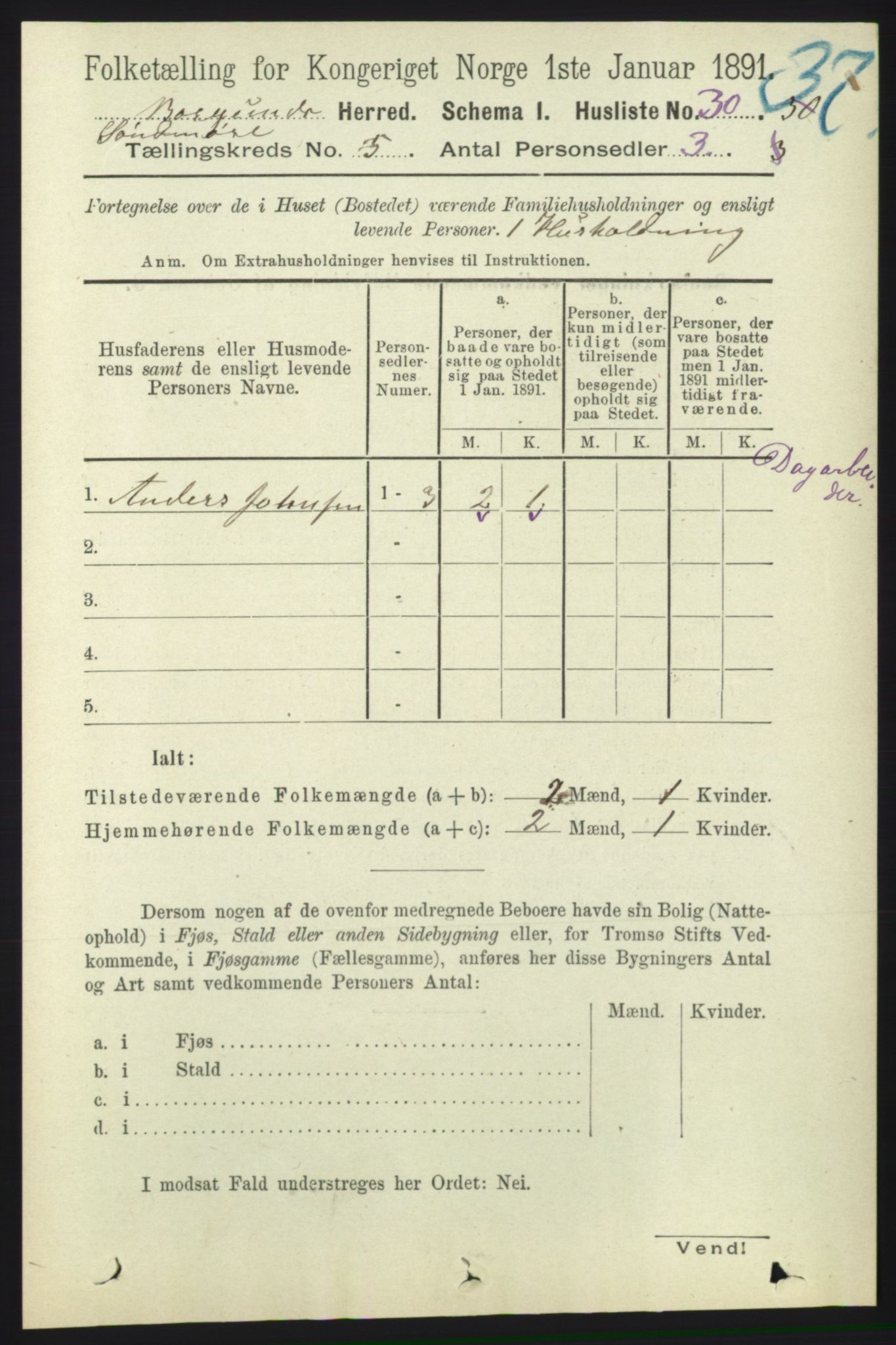 RA, 1891 census for 1531 Borgund, 1891, p. 1250