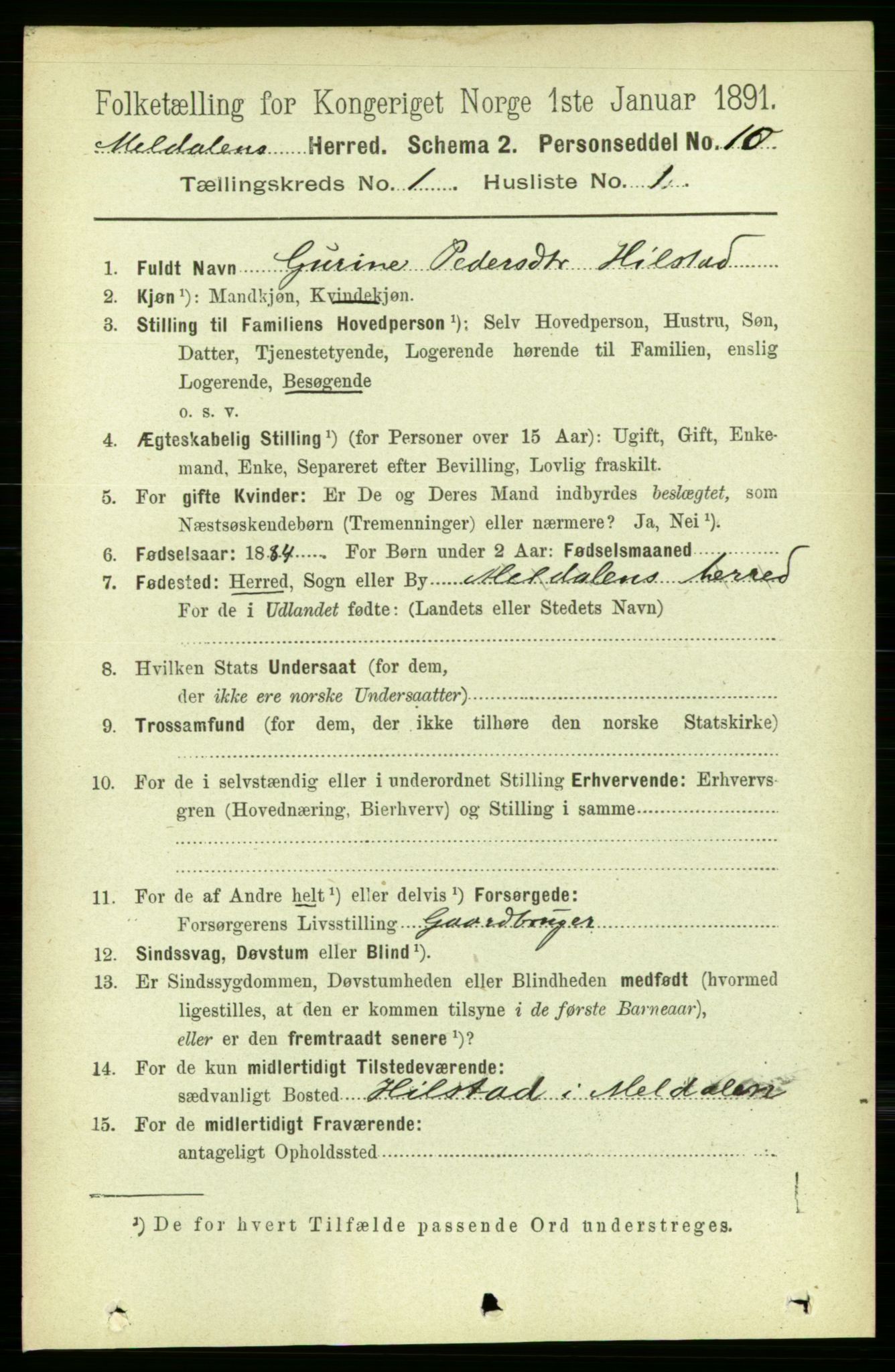 RA, 1891 census for 1636 Meldal, 1891, p. 164