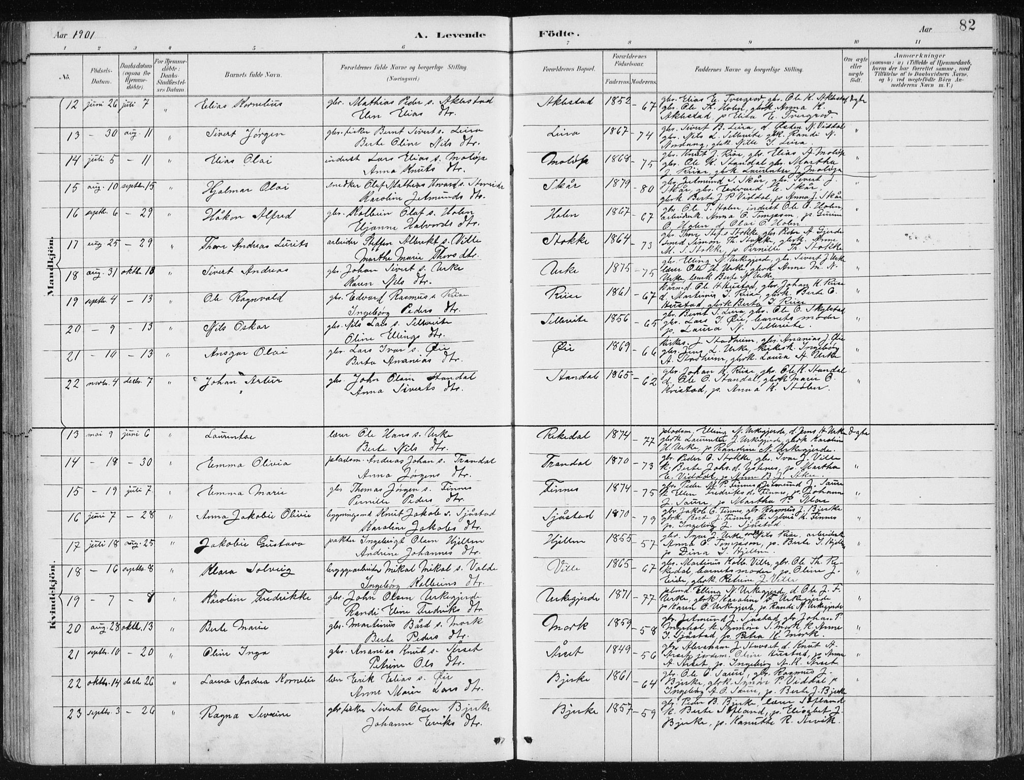 Ministerialprotokoller, klokkerbøker og fødselsregistre - Møre og Romsdal, AV/SAT-A-1454/515/L0215: Parish register (copy) no. 515C02, 1884-1906, p. 82