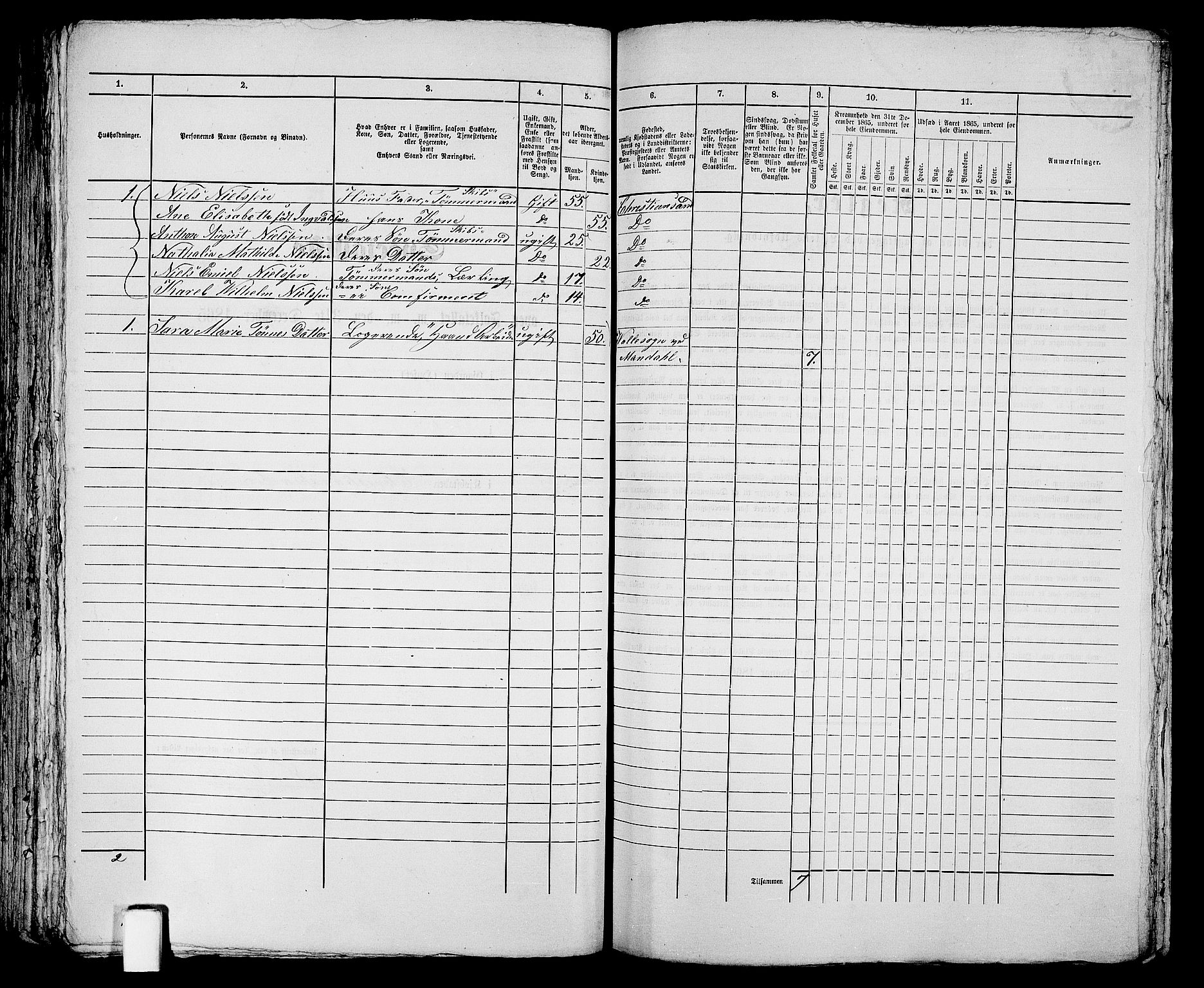 RA, 1865 census for Kristiansand, 1865, p. 1838