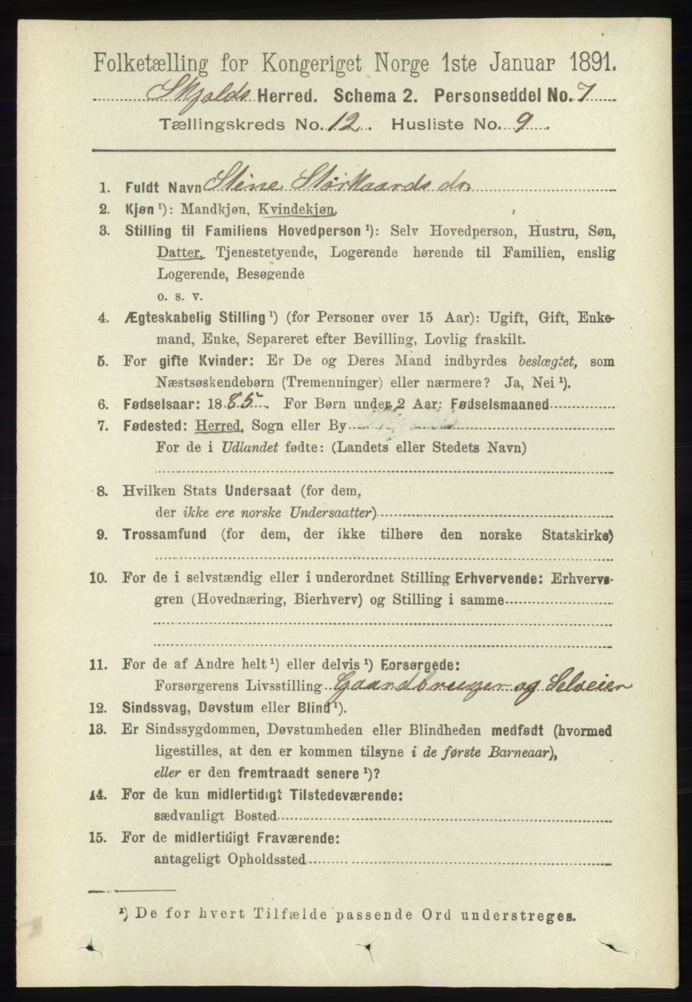 RA, 1891 census for 1154 Skjold, 1891, p. 2294