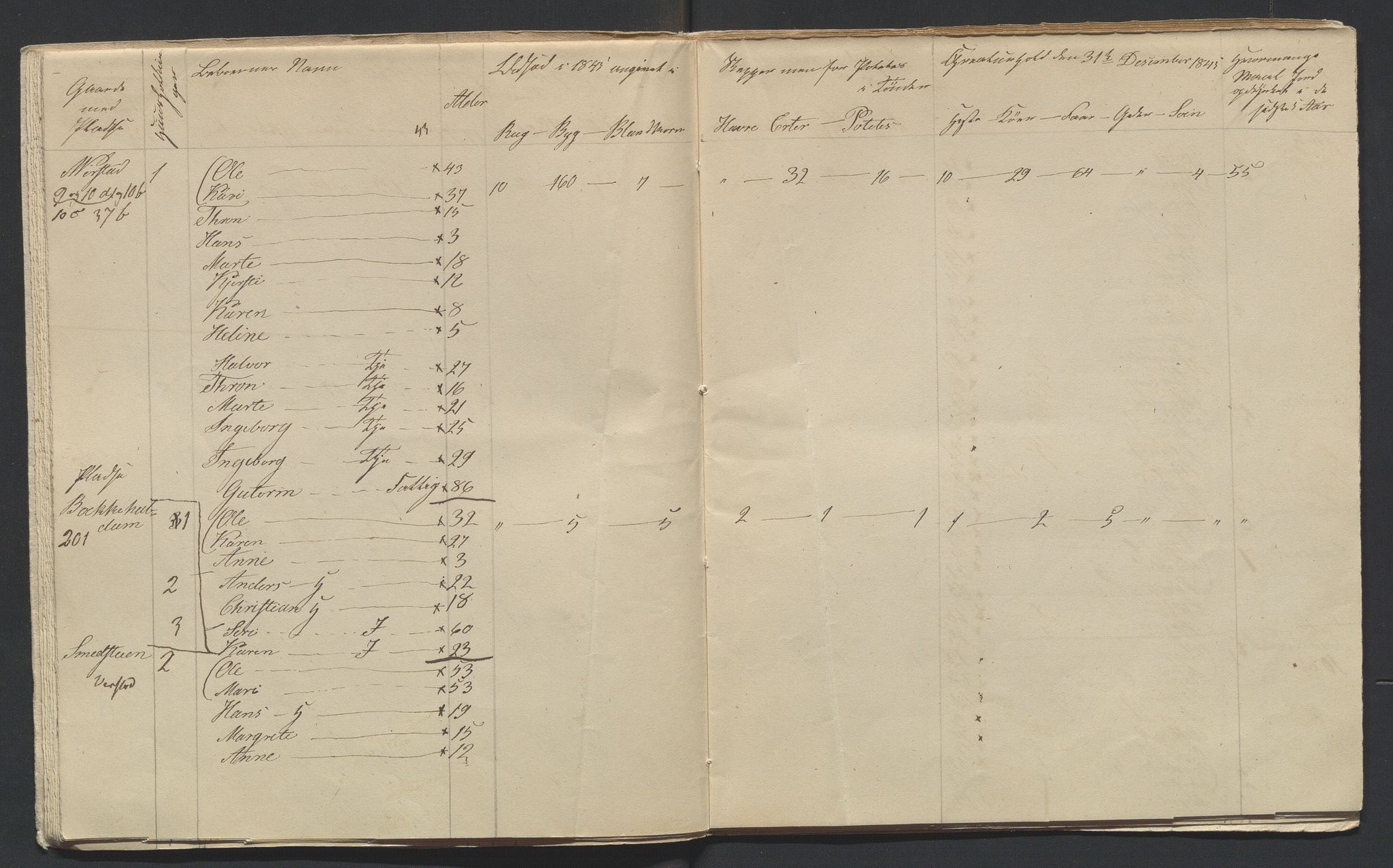 SAH, 1845 Census for Jevnaker parish, 1845, p. 12