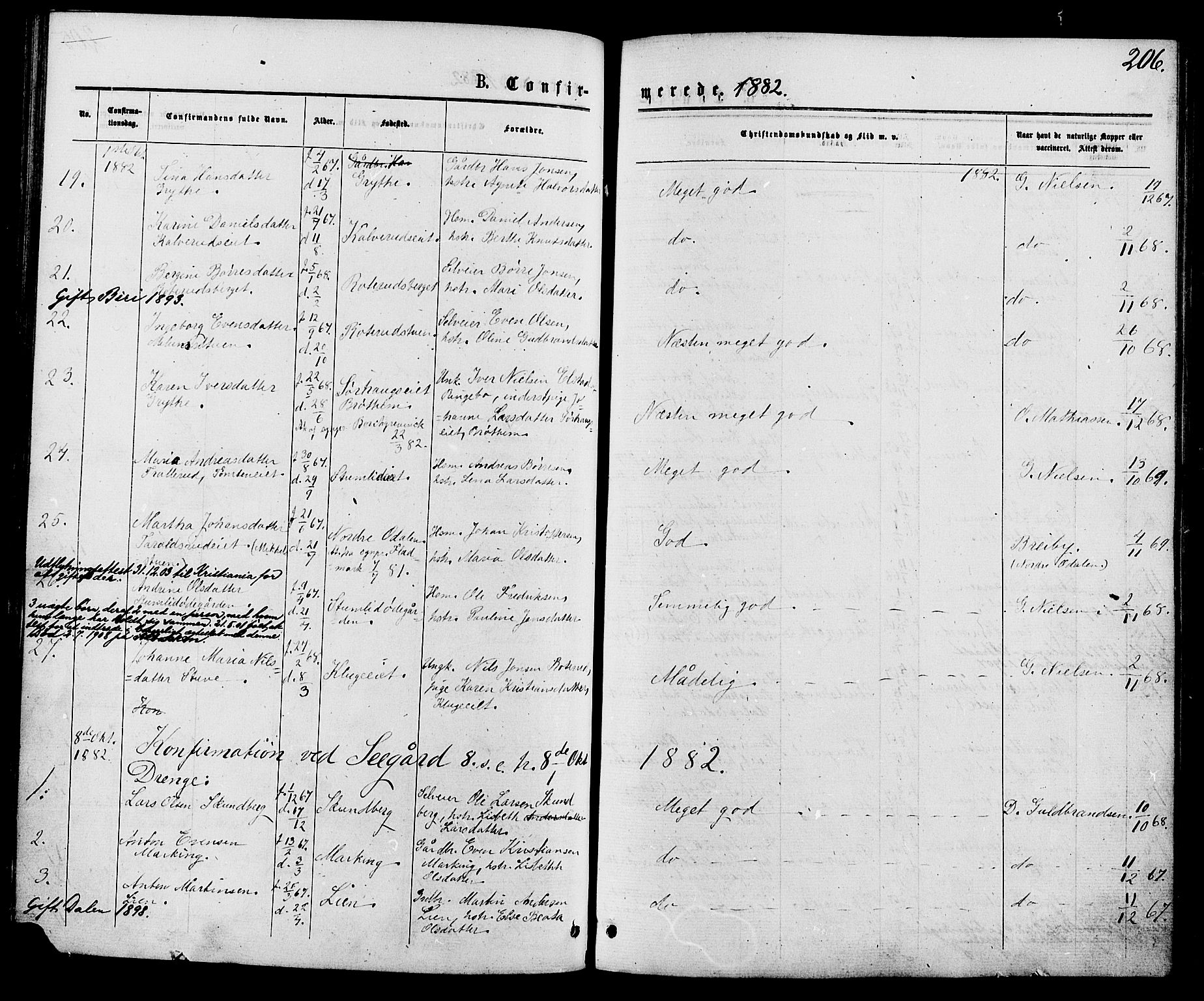 Biri prestekontor, AV/SAH-PREST-096/H/Ha/Haa/L0006: Parish register (official) no. 6, 1877-1886, p. 206