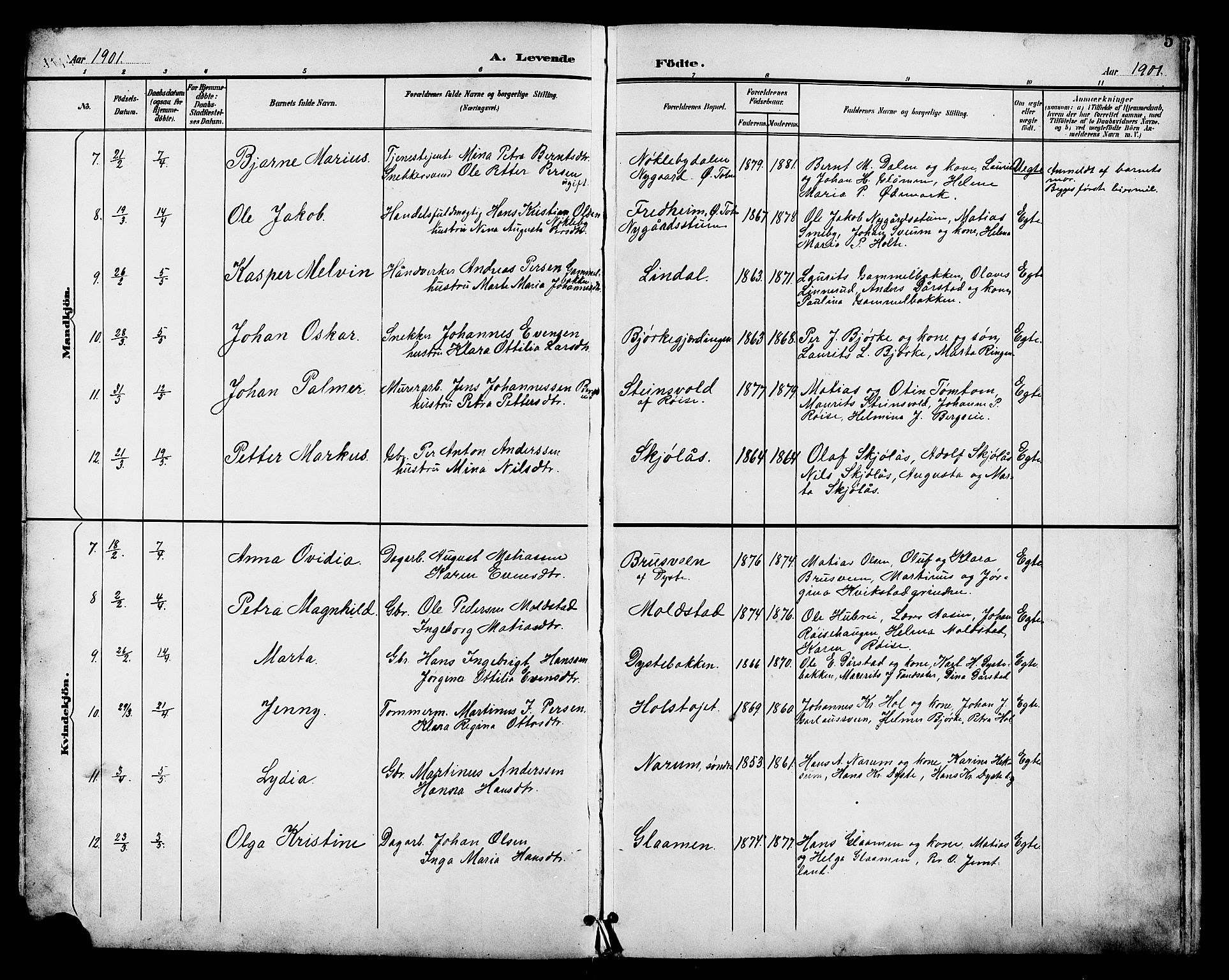 Vestre Toten prestekontor, SAH/PREST-108/H/Ha/Hab/L0011: Parish register (copy) no. 11, 1901-1911, p. 5