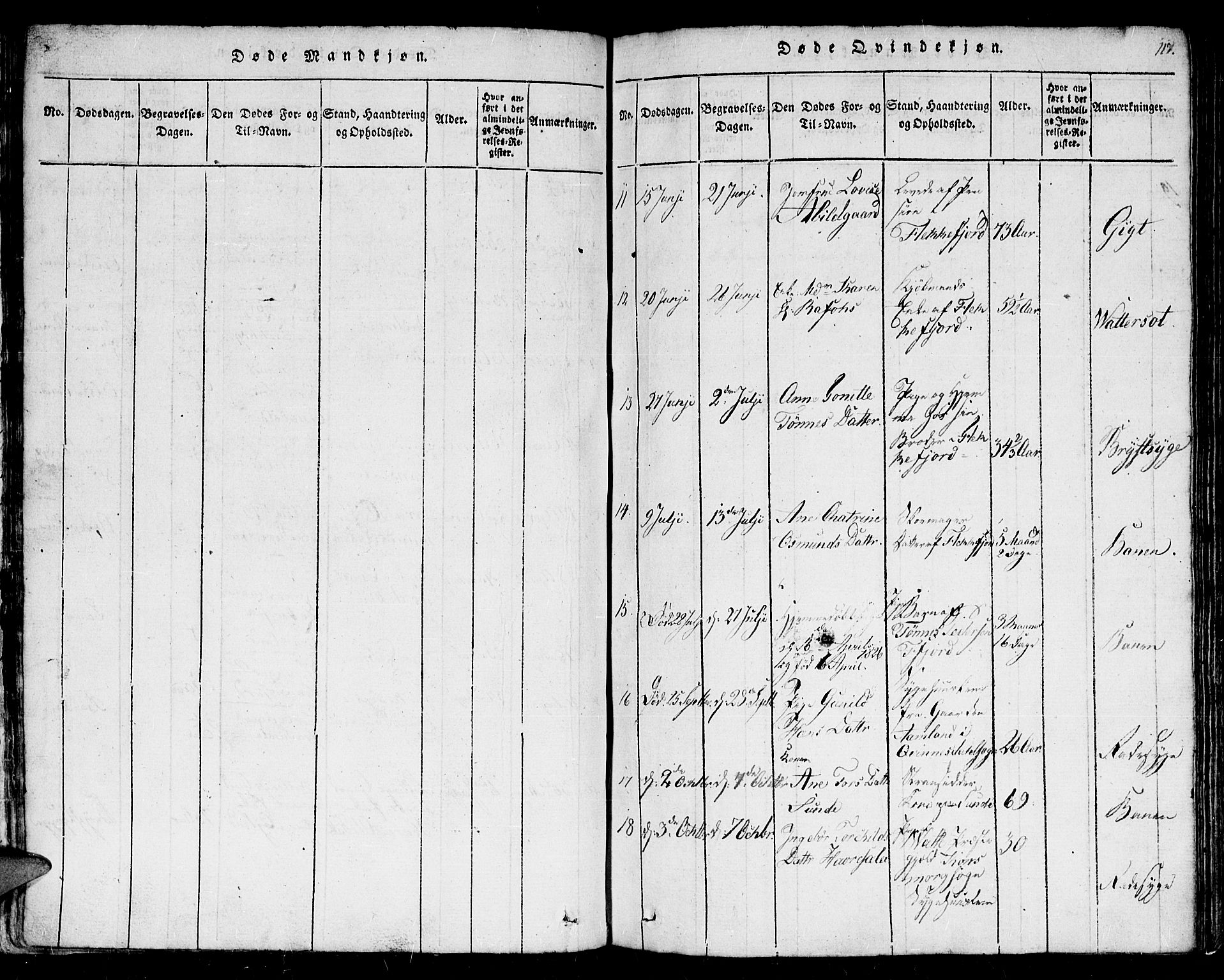 Flekkefjord sokneprestkontor, AV/SAK-1111-0012/F/Fb/Fbc/L0003: Parish register (copy) no. B 3, 1815-1826, p. 117