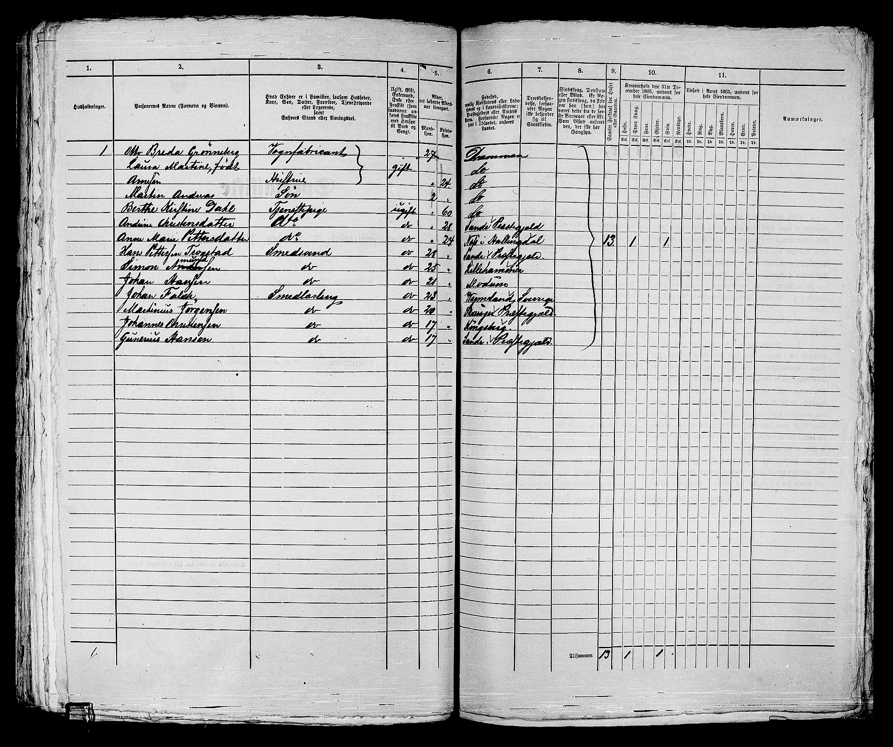 RA, 1865 census for Strømsø in Drammen, 1865, p. 326