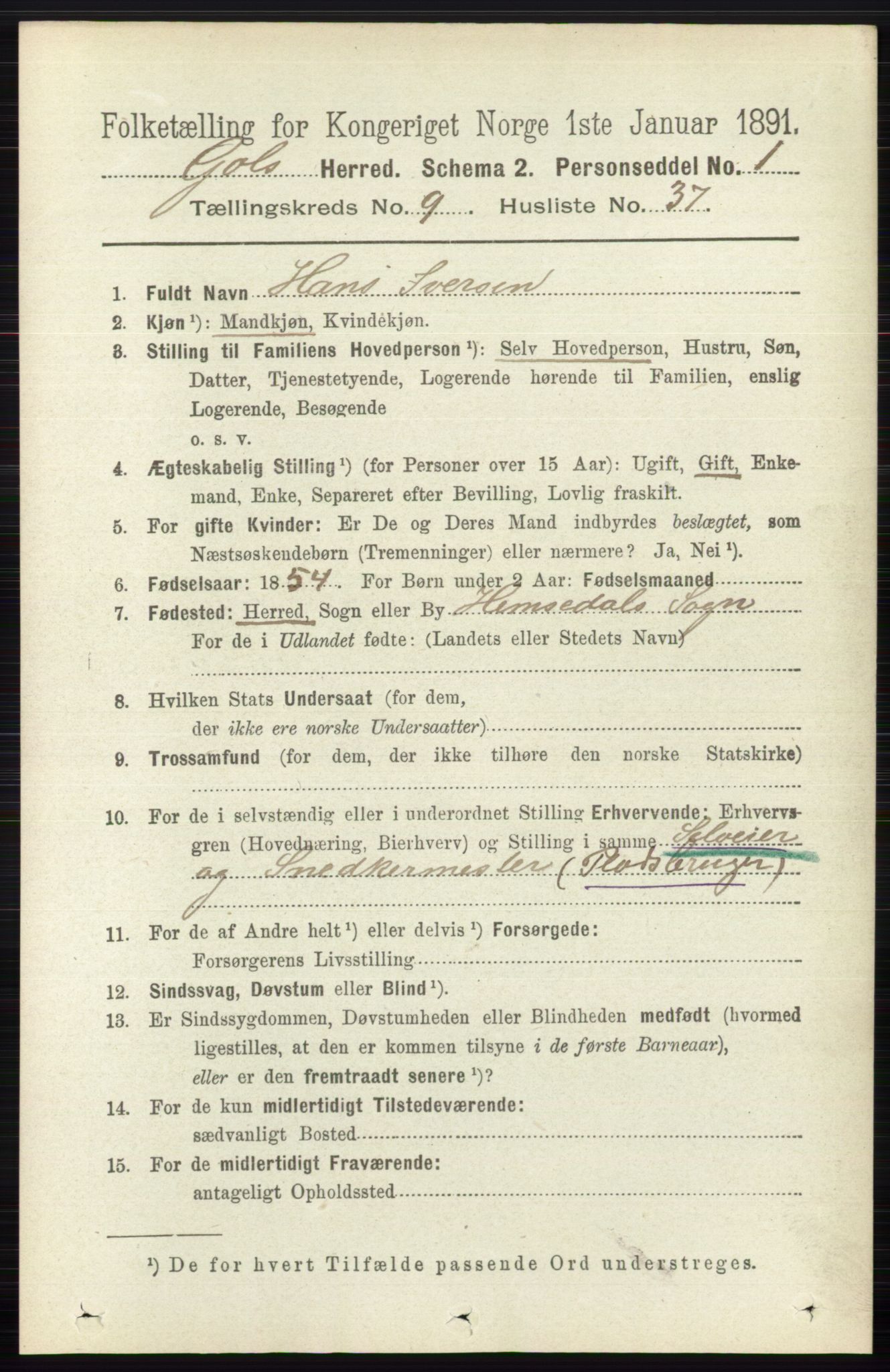 RA, 1891 census for 0617 Gol og Hemsedal, 1891, p. 3611