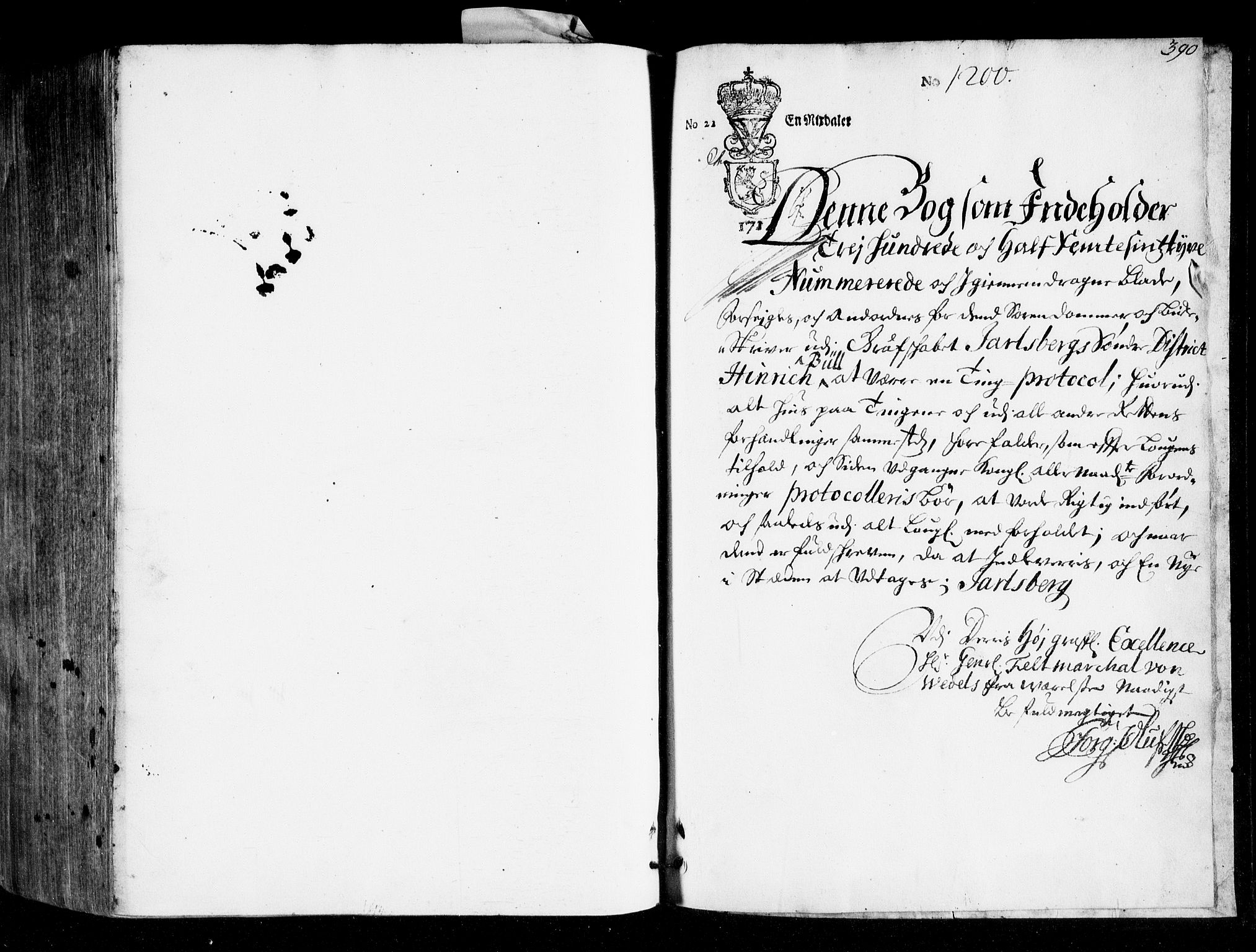 Søndre Jarlsberg sorenskriveri, SAKO/A-129/F/Fa/L0009: Tingbok, 1715-1717, p. 390