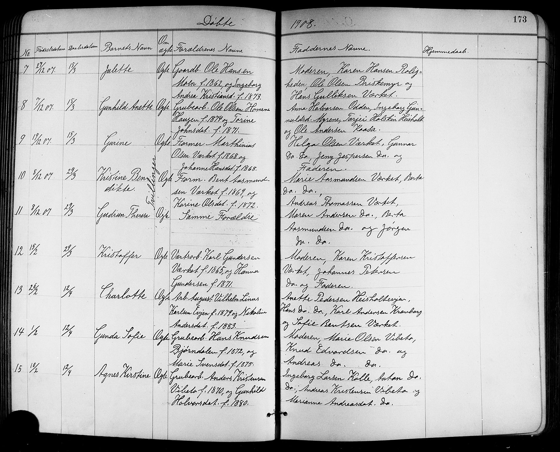 Holla kirkebøker, SAKO/A-272/G/Ga/L0005: Parish register (copy) no. I 5, 1891-1917, p. 173