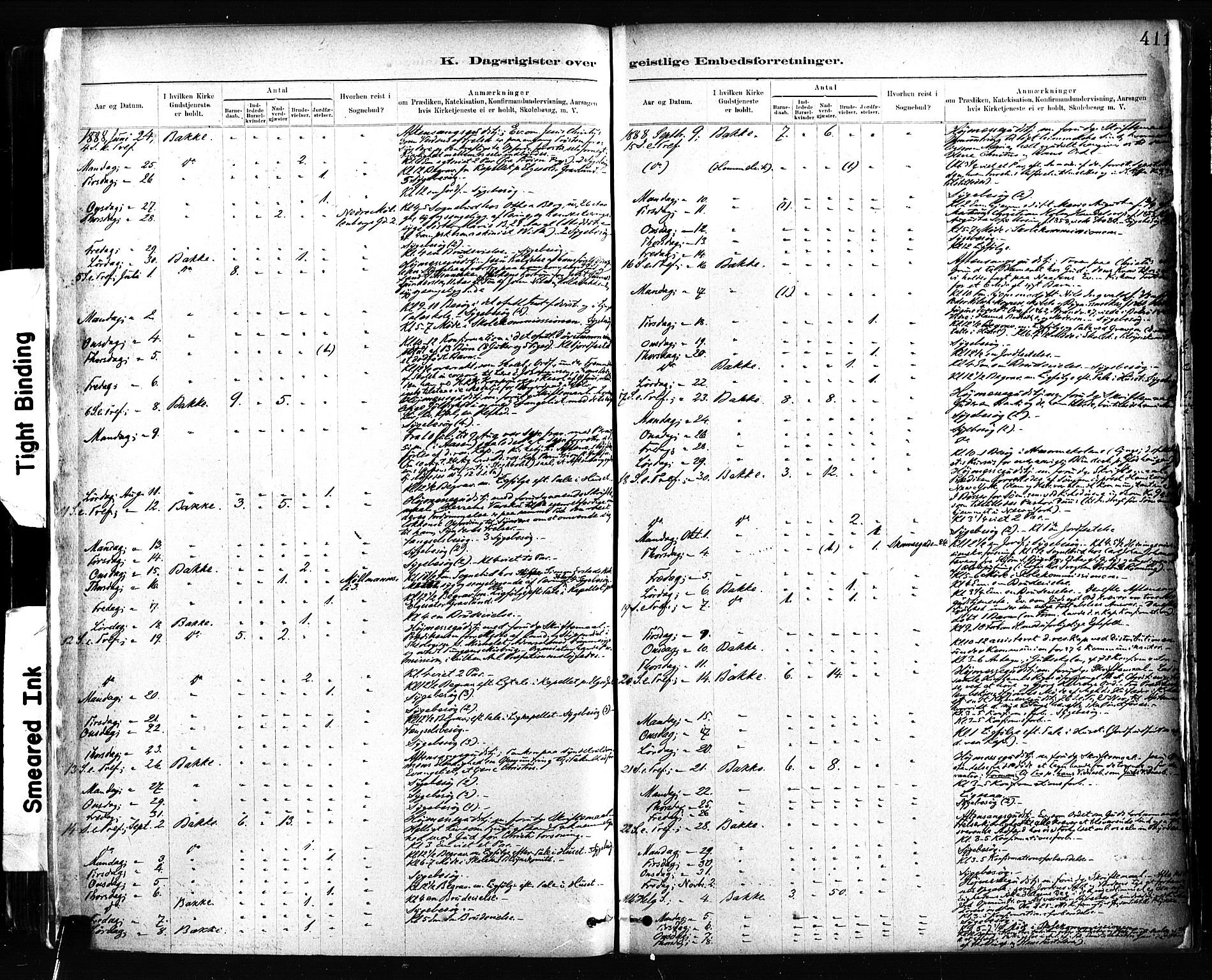 Ministerialprotokoller, klokkerbøker og fødselsregistre - Sør-Trøndelag, AV/SAT-A-1456/604/L0189: Parish register (official) no. 604A10, 1878-1892, p. 411