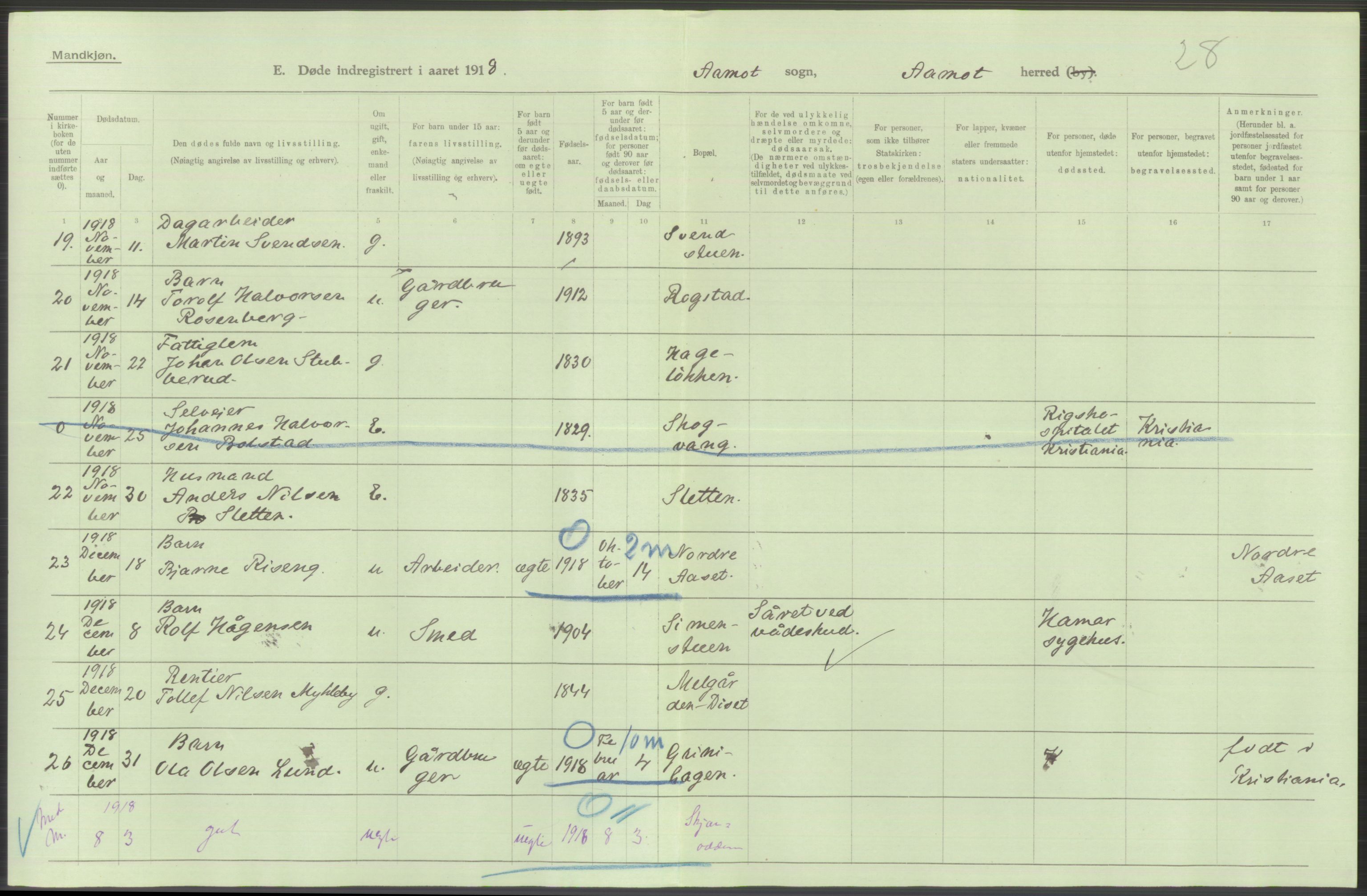 Statistisk sentralbyrå, Sosiodemografiske emner, Befolkning, AV/RA-S-2228/D/Df/Dfb/Dfbh/L0014: Hedemarkens fylke: Døde. Bygder og byer., 1918, p. 570