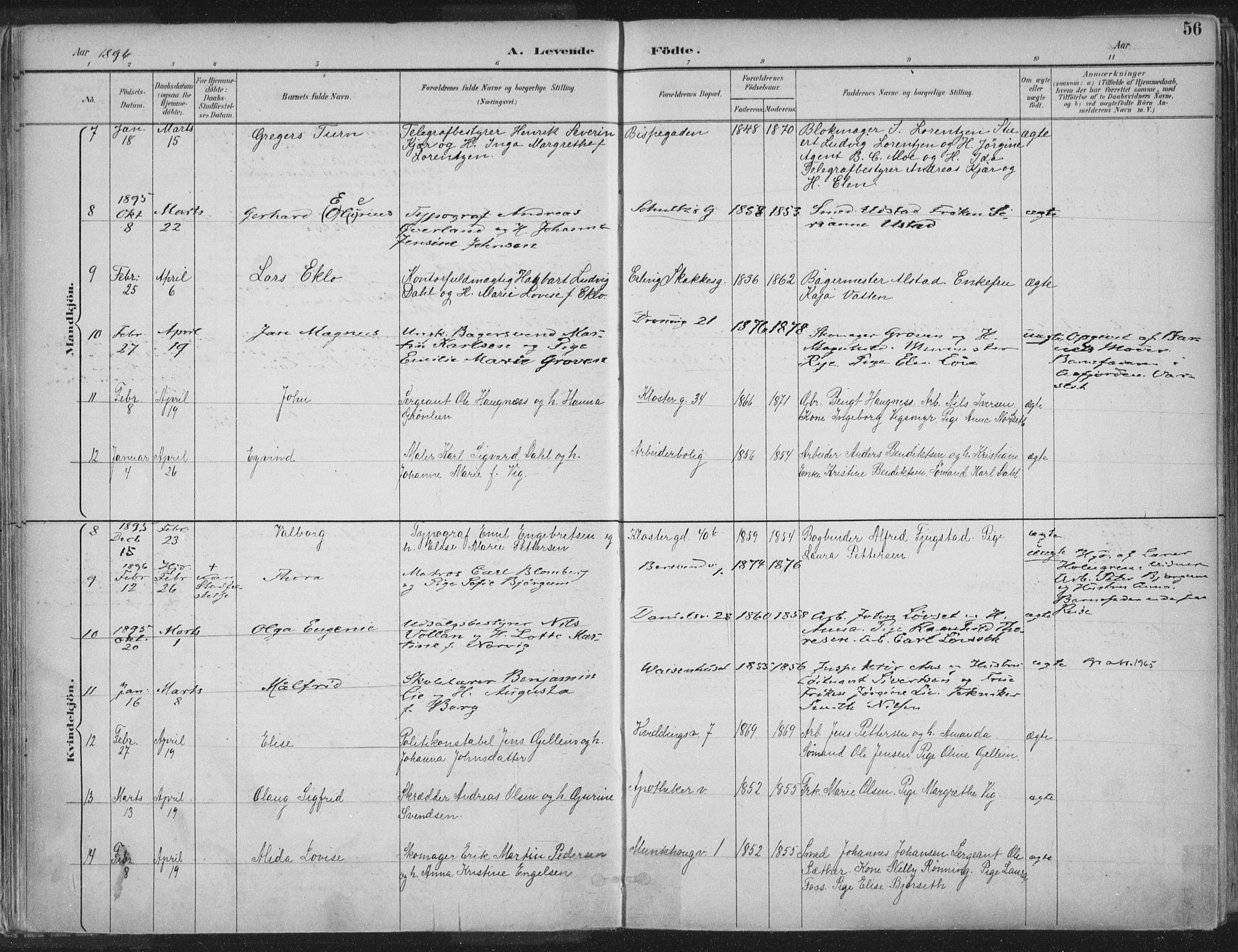 Ministerialprotokoller, klokkerbøker og fødselsregistre - Sør-Trøndelag, SAT/A-1456/601/L0062: Parish register (official) no. 601A30, 1891-1911, p. 56