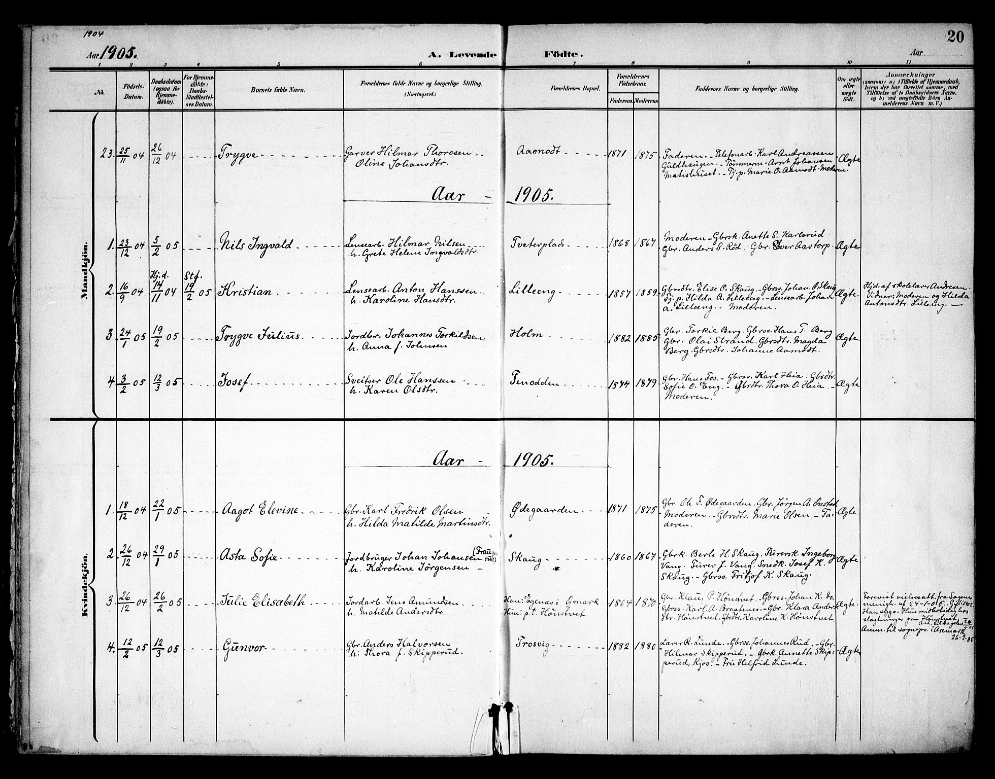 Skiptvet prestekontor Kirkebøker, SAO/A-20009/F/Fa/L0011: Parish register (official) no. 11, 1901-1913, p. 20