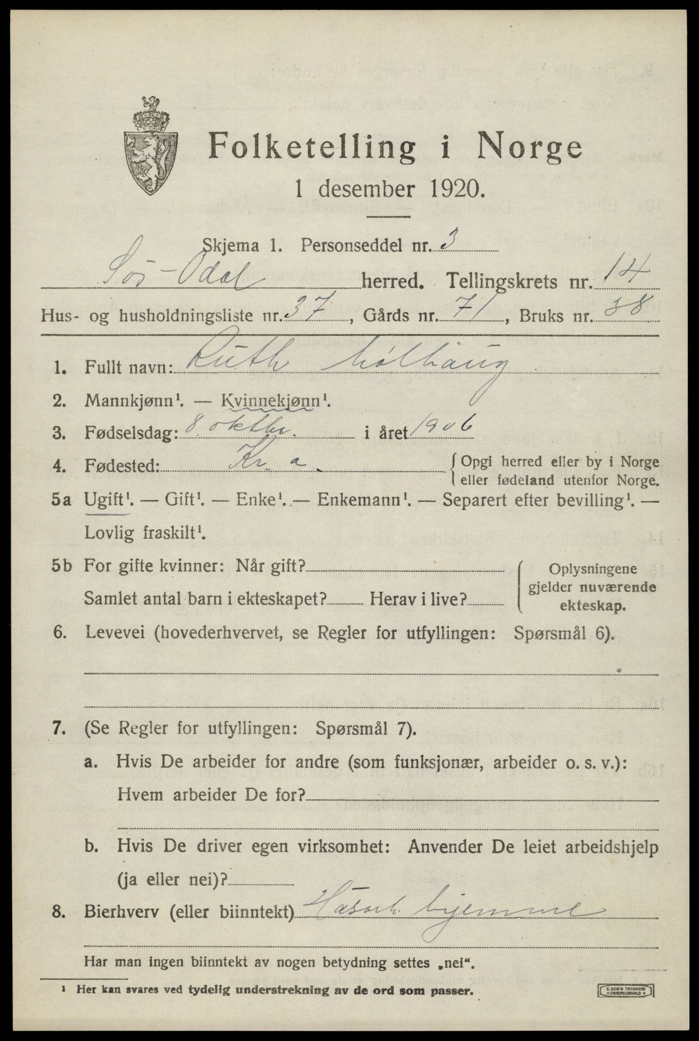 SAH, 1920 census for Sør-Odal, 1920, p. 14363