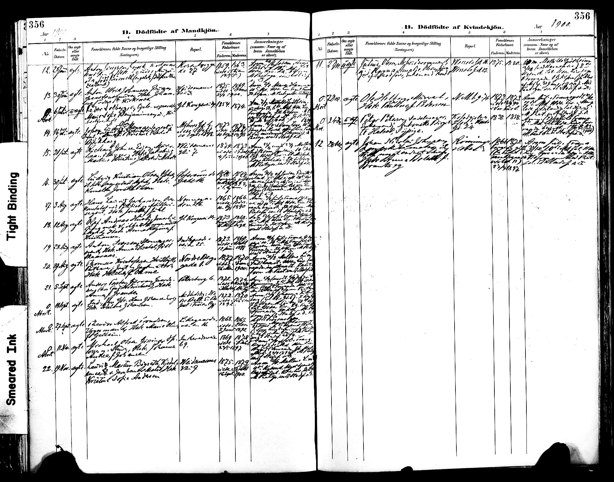 Ministerialprotokoller, klokkerbøker og fødselsregistre - Sør-Trøndelag, SAT/A-1456/604/L0197: Parish register (official) no. 604A18, 1893-1900, p. 356