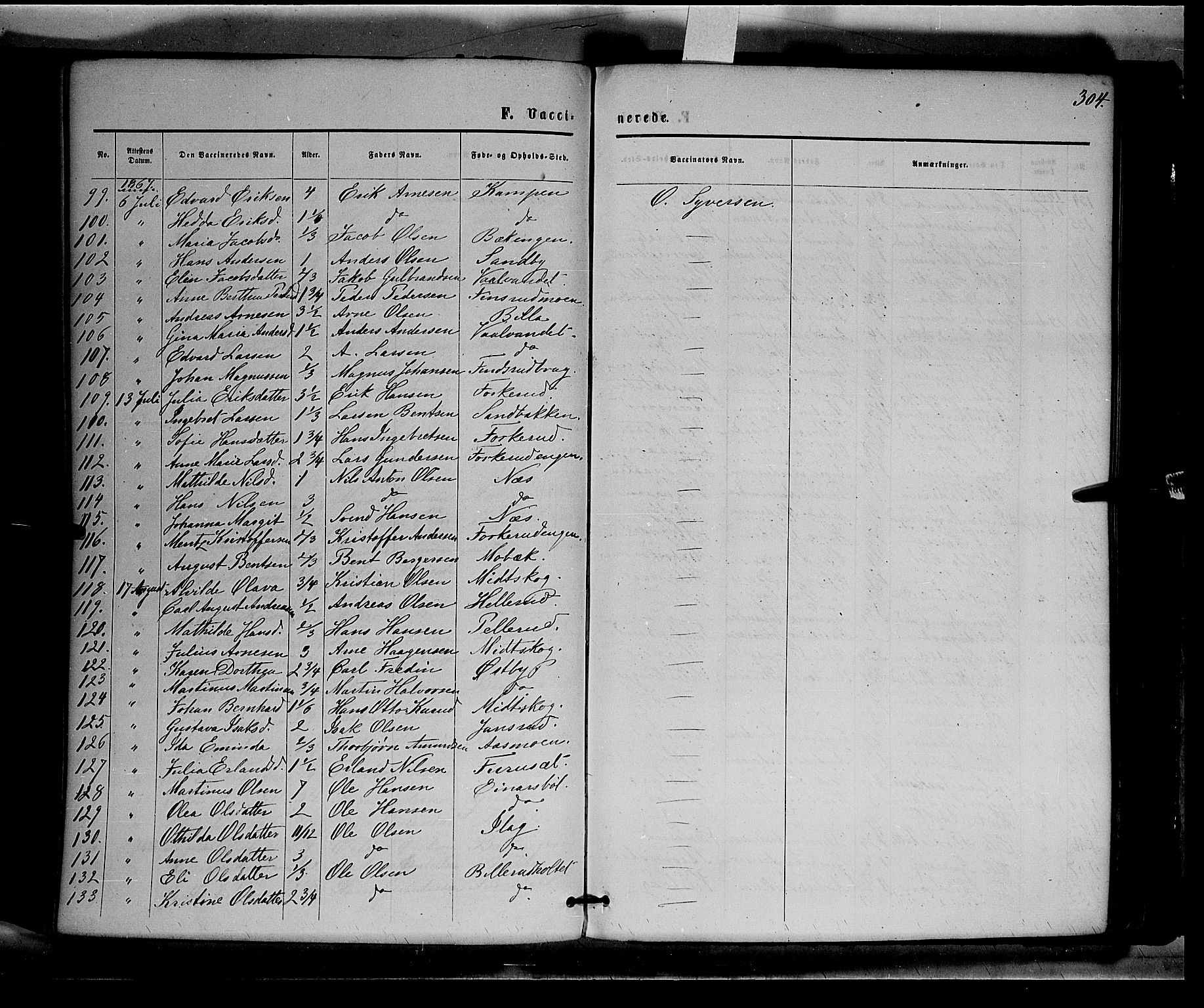 Eidskog prestekontor, AV/SAH-PREST-026/H/Ha/Haa/L0002: Parish register (official) no. 2, 1867-1878, p. 304