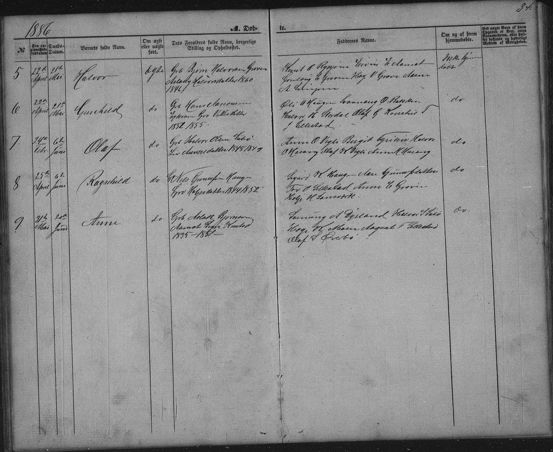 Seljord kirkebøker, AV/SAKO-A-20/G/Gc/L0002: Parish register (copy) no. III 2, 1872-1886, p. 34