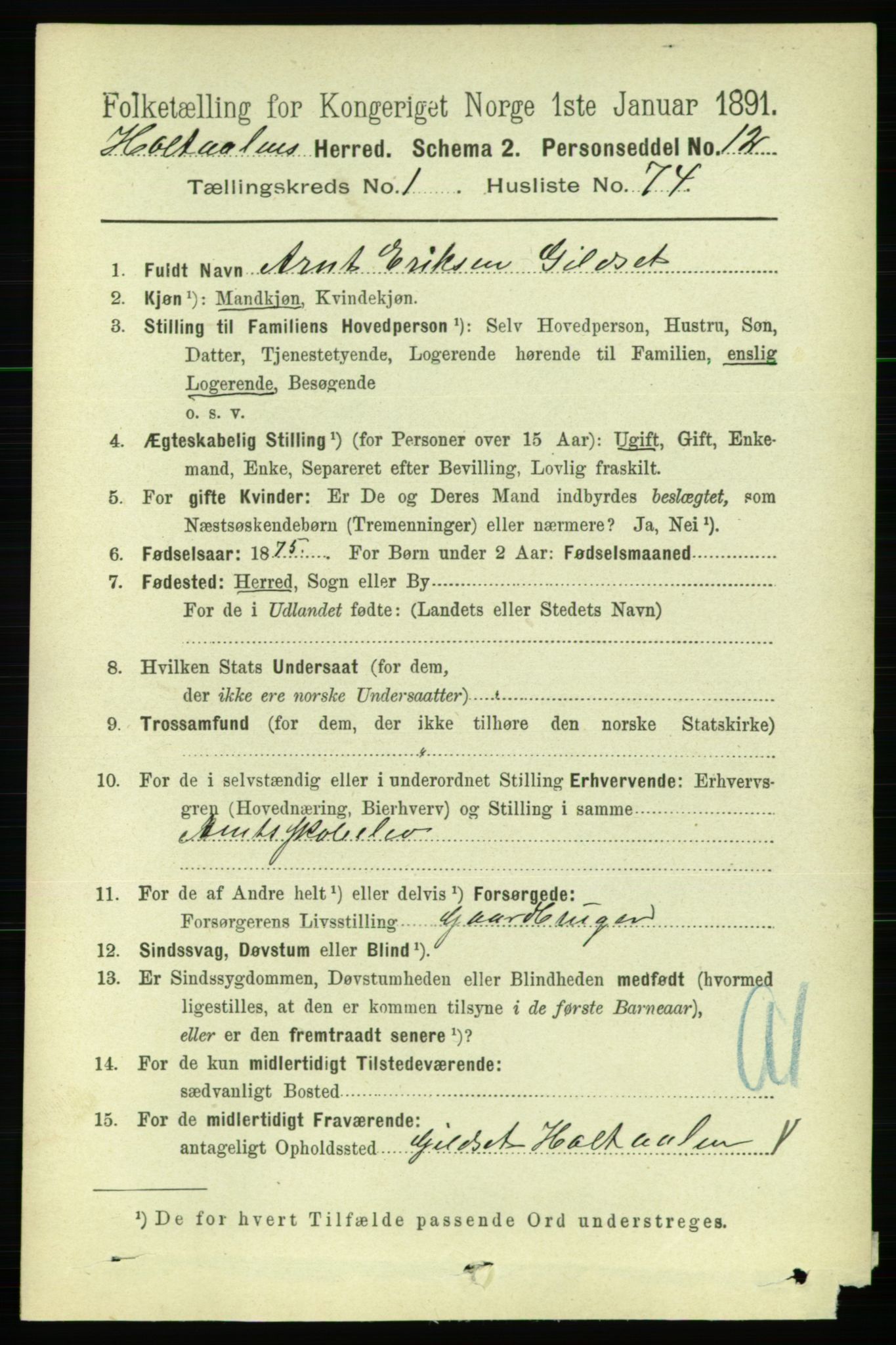 RA, 1891 census for 1645 Haltdalen, 1891, p. 653