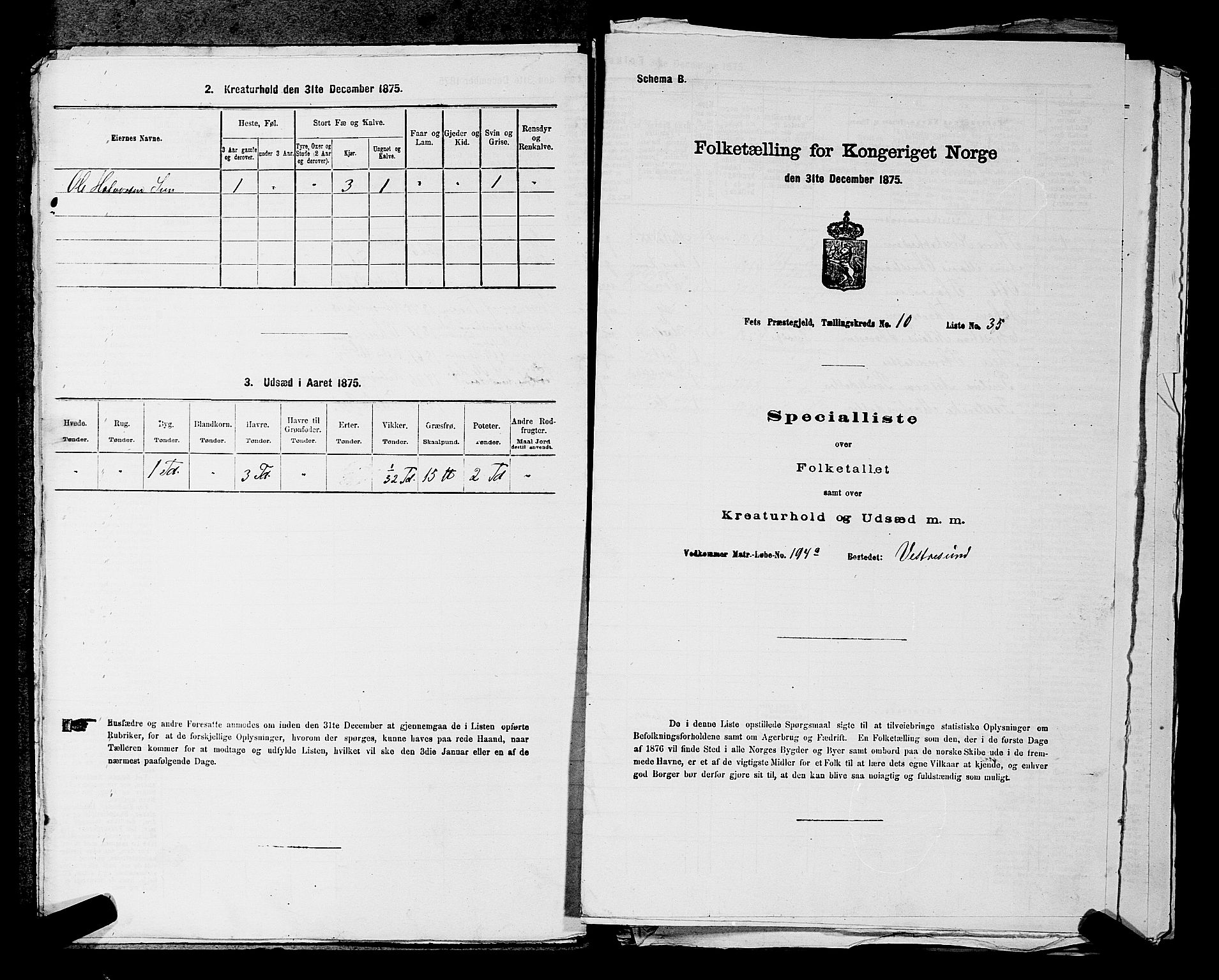 RA, 1875 census for 0227P Fet, 1875, p. 1438