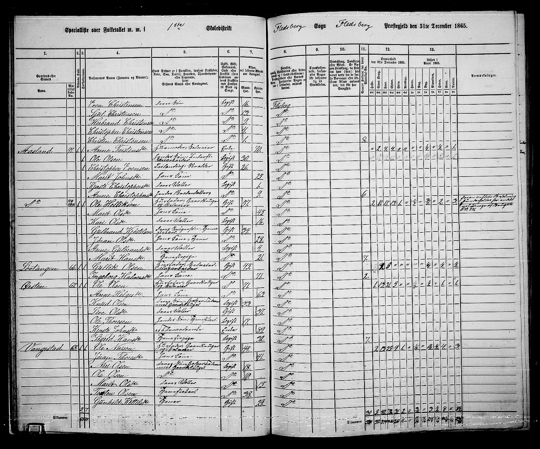 RA, 1865 census for Flesberg, 1865, p. 23
