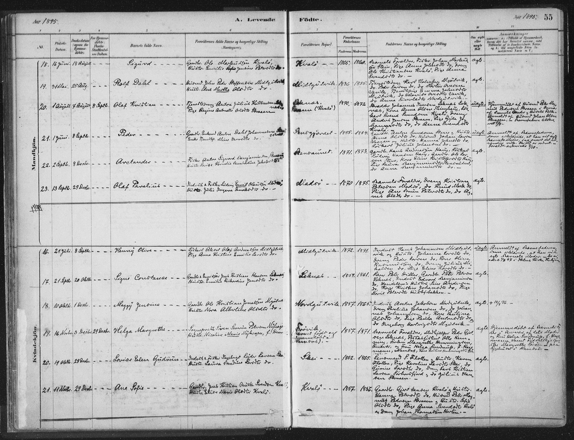 Ministerialprotokoller, klokkerbøker og fødselsregistre - Nord-Trøndelag, SAT/A-1458/788/L0697: Parish register (official) no. 788A04, 1878-1902, p. 55