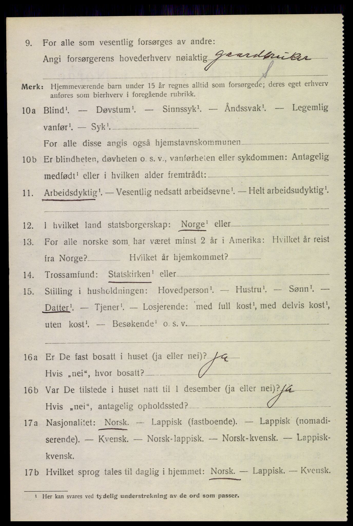 SAT, 1920 census for Borge, 1920, p. 6382