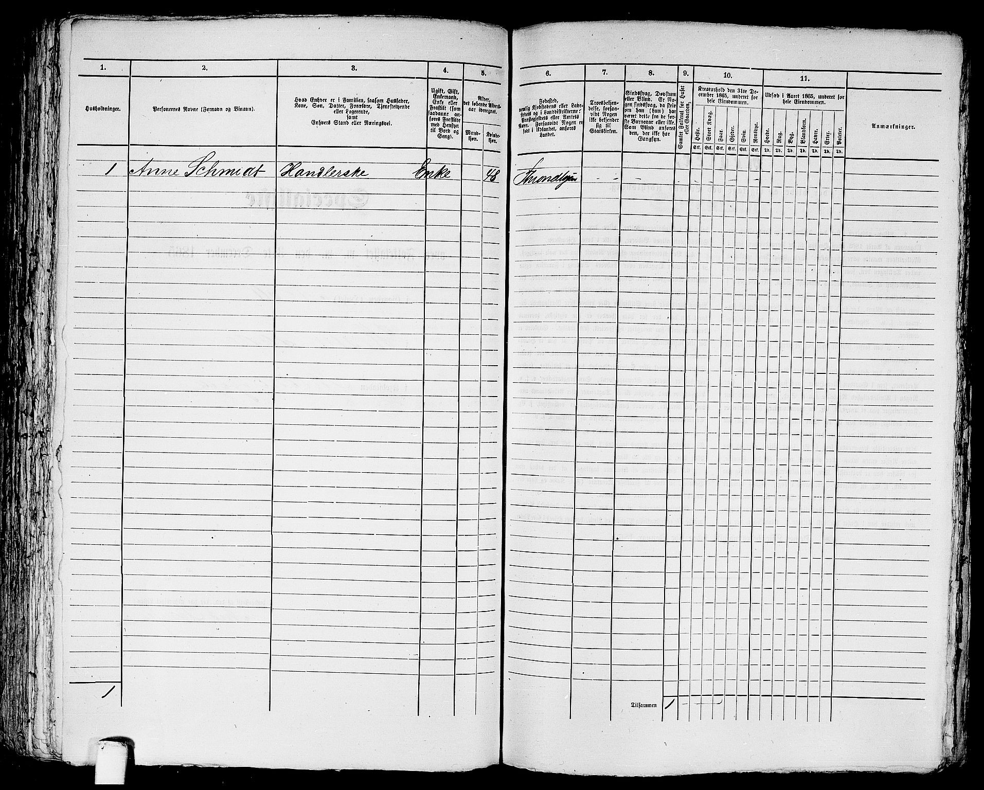 RA, 1865 census for Trondheim, 1865, p. 1775