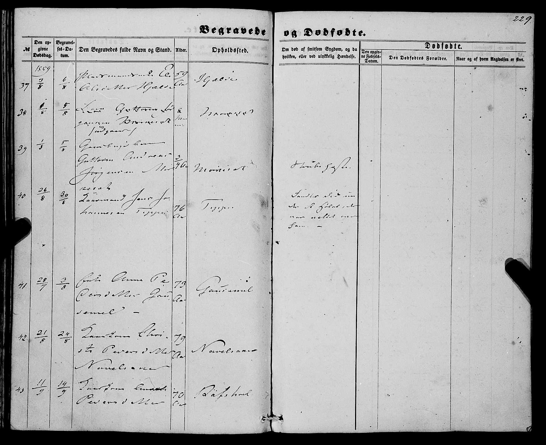 Eid sokneprestembete, AV/SAB-A-82301/H/Haa/Haaa/L0008: Parish register (official) no. A 8, 1858-1860, p. 229