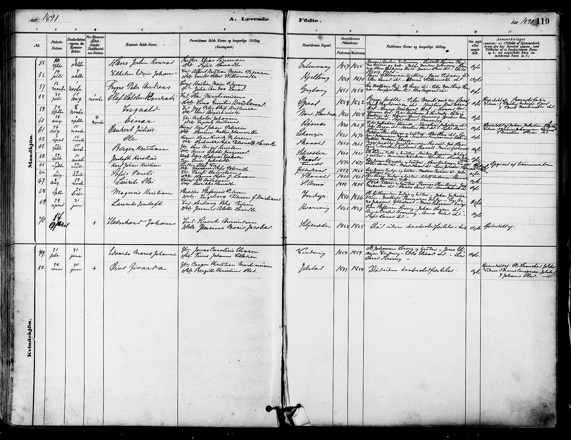 Ministerialprotokoller, klokkerbøker og fødselsregistre - Nordland, AV/SAT-A-1459/805/L0099: Parish register (official) no. 805A06, 1880-1891, p. 119