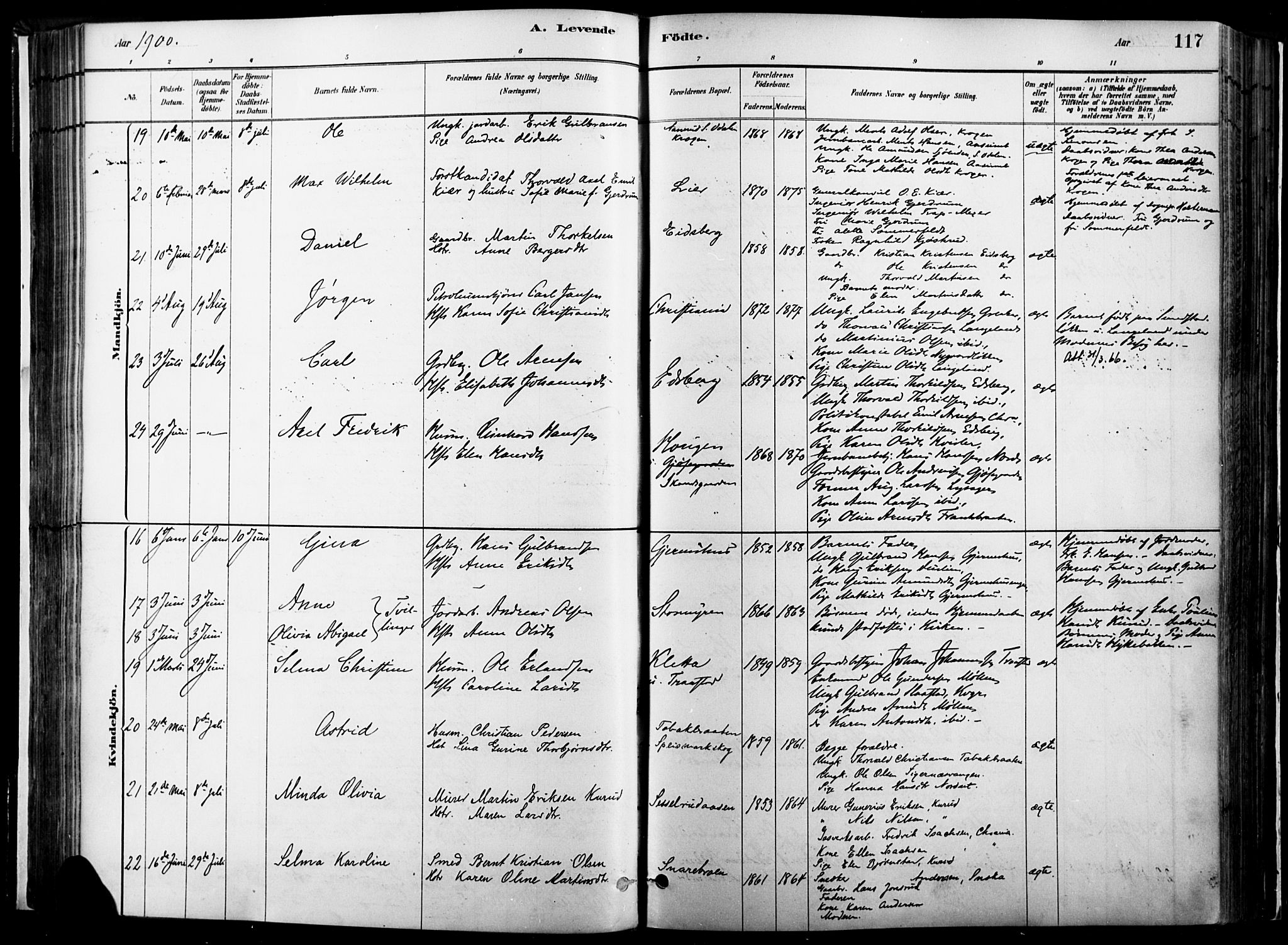 Vinger prestekontor, AV/SAH-PREST-024/H/Ha/Haa/L0014: Parish register (official) no. 14, 1881-1900, p. 117