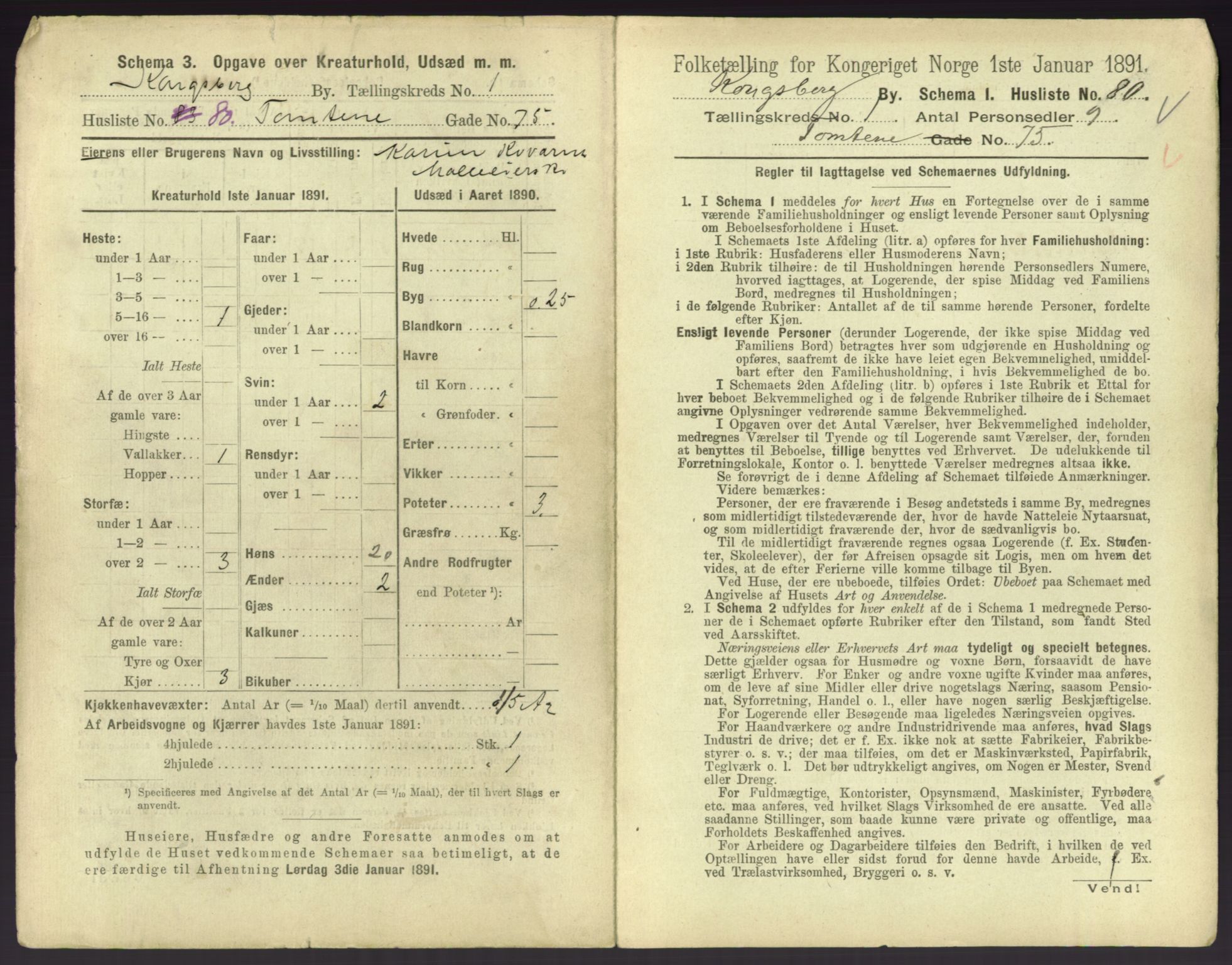 RA, 1891 census for 0604 Kongsberg, 1891, p. 189