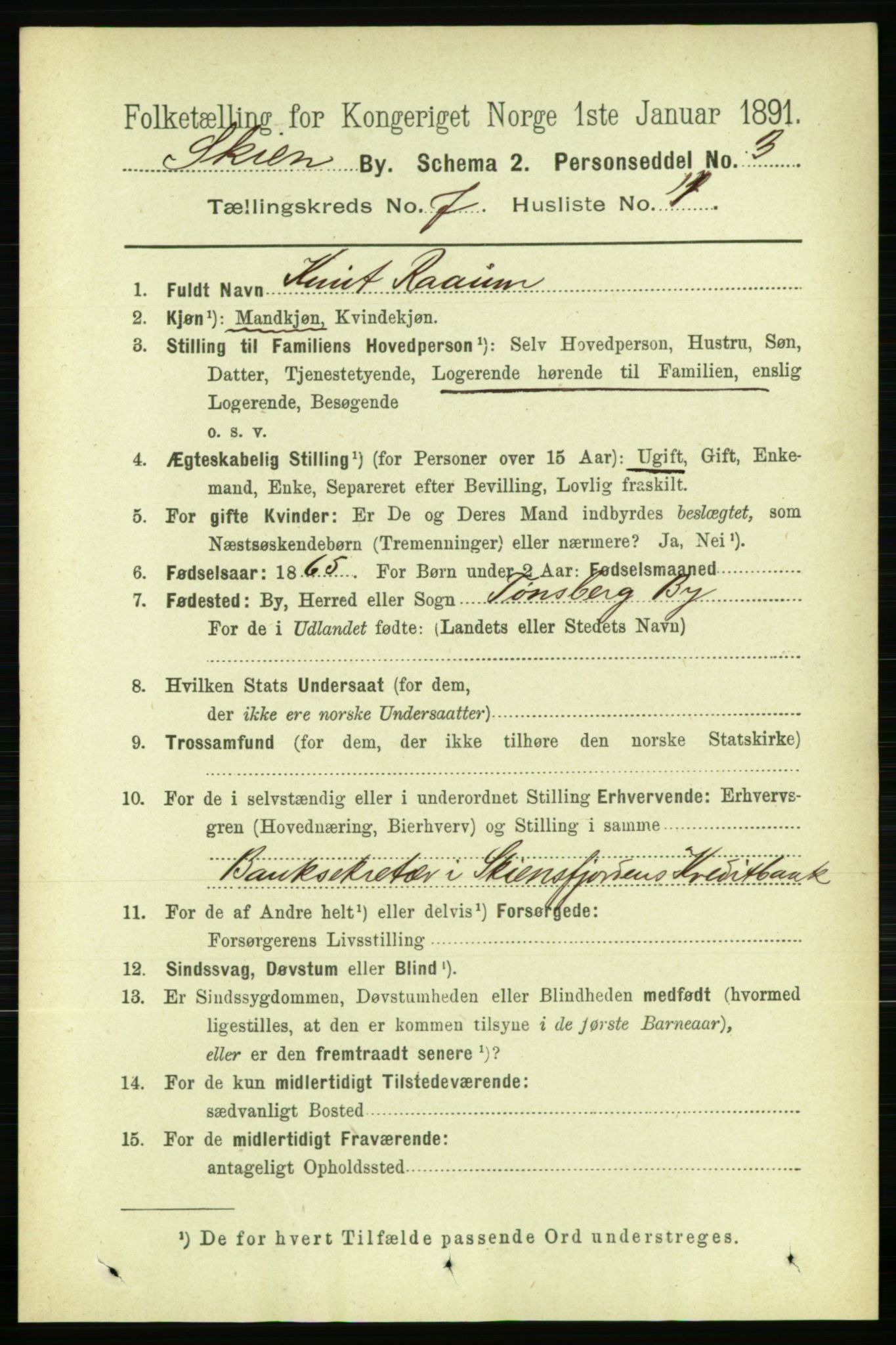 RA, 1891 census for 0806 Skien, 1891, p. 3226