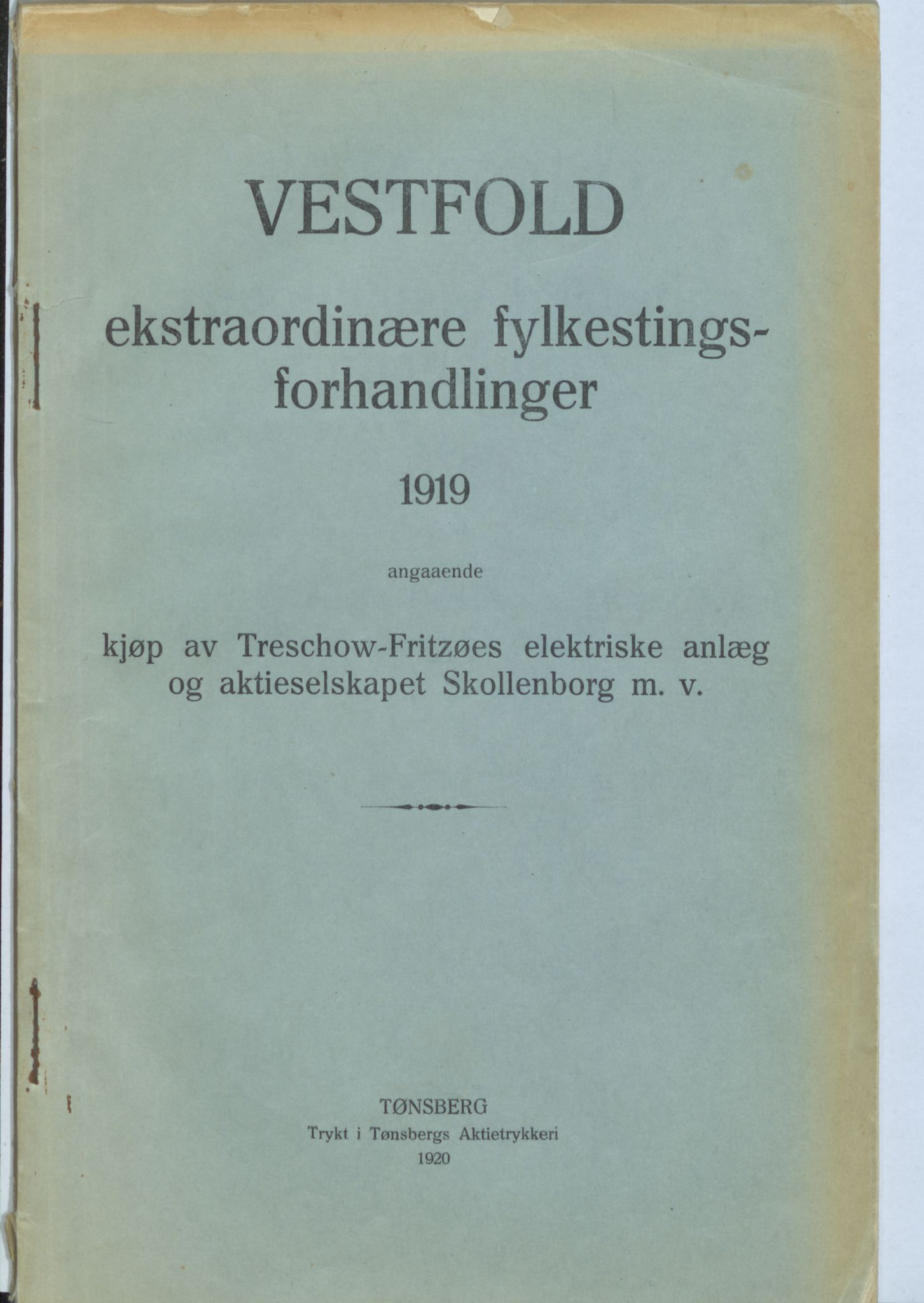 Vestfold fylkeskommune. Fylkestinget, VEMU/A-1315/A/Ab/Abb/L0067: Fylkestingsforhandlinger, 1919